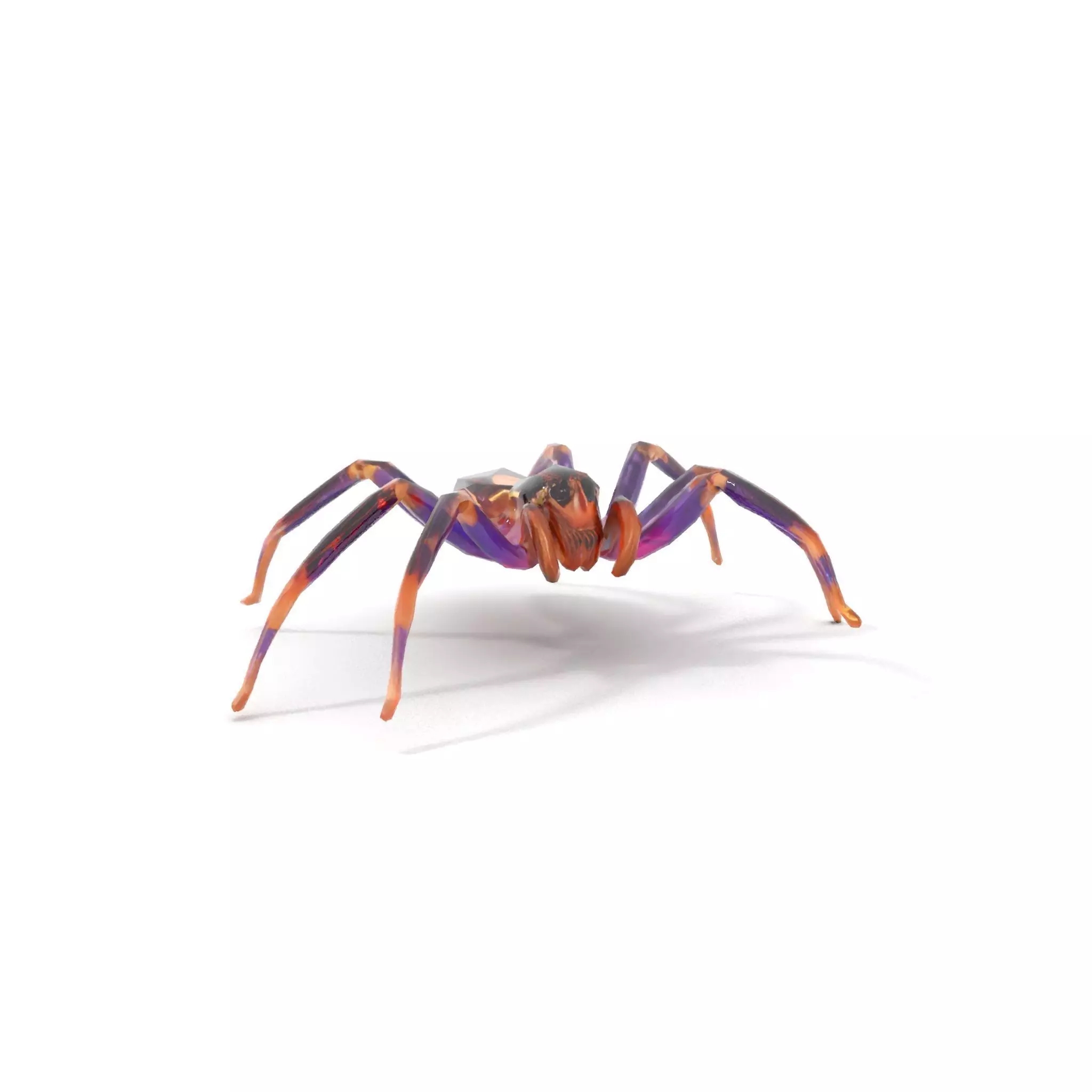 Vibrant Jungle Spider model pack Low-poly 3D model_18