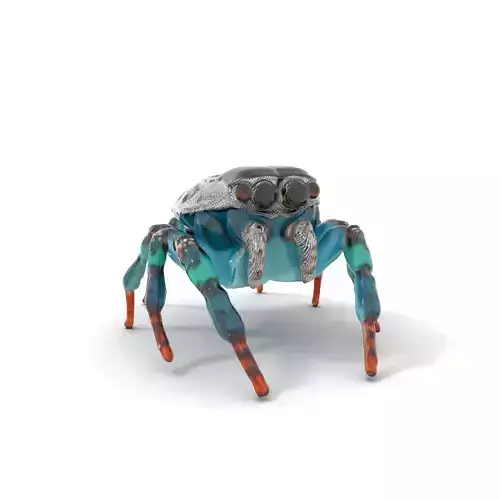 Vivid Peacock Spider model pack