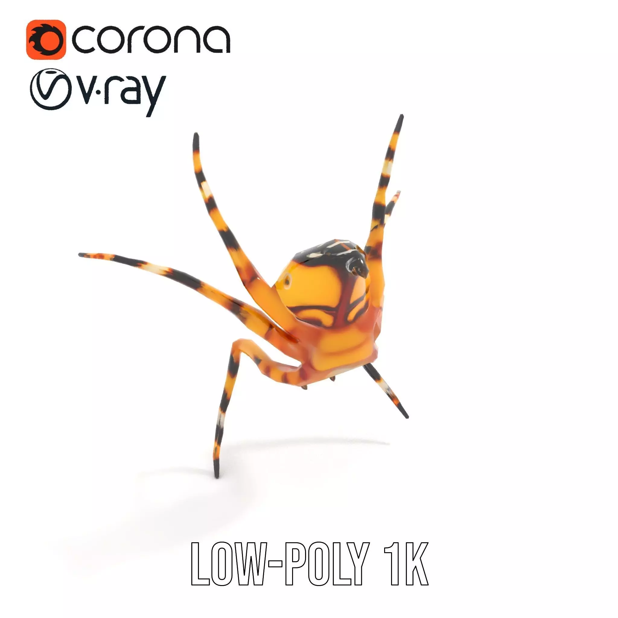 Vibrant Spider model pack Low-poly 3D model_8