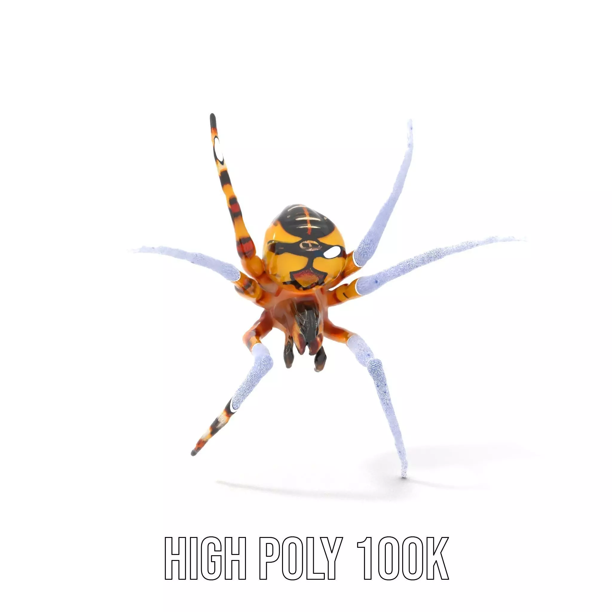 Vibrant Spider model pack Low-poly 3D model_5
