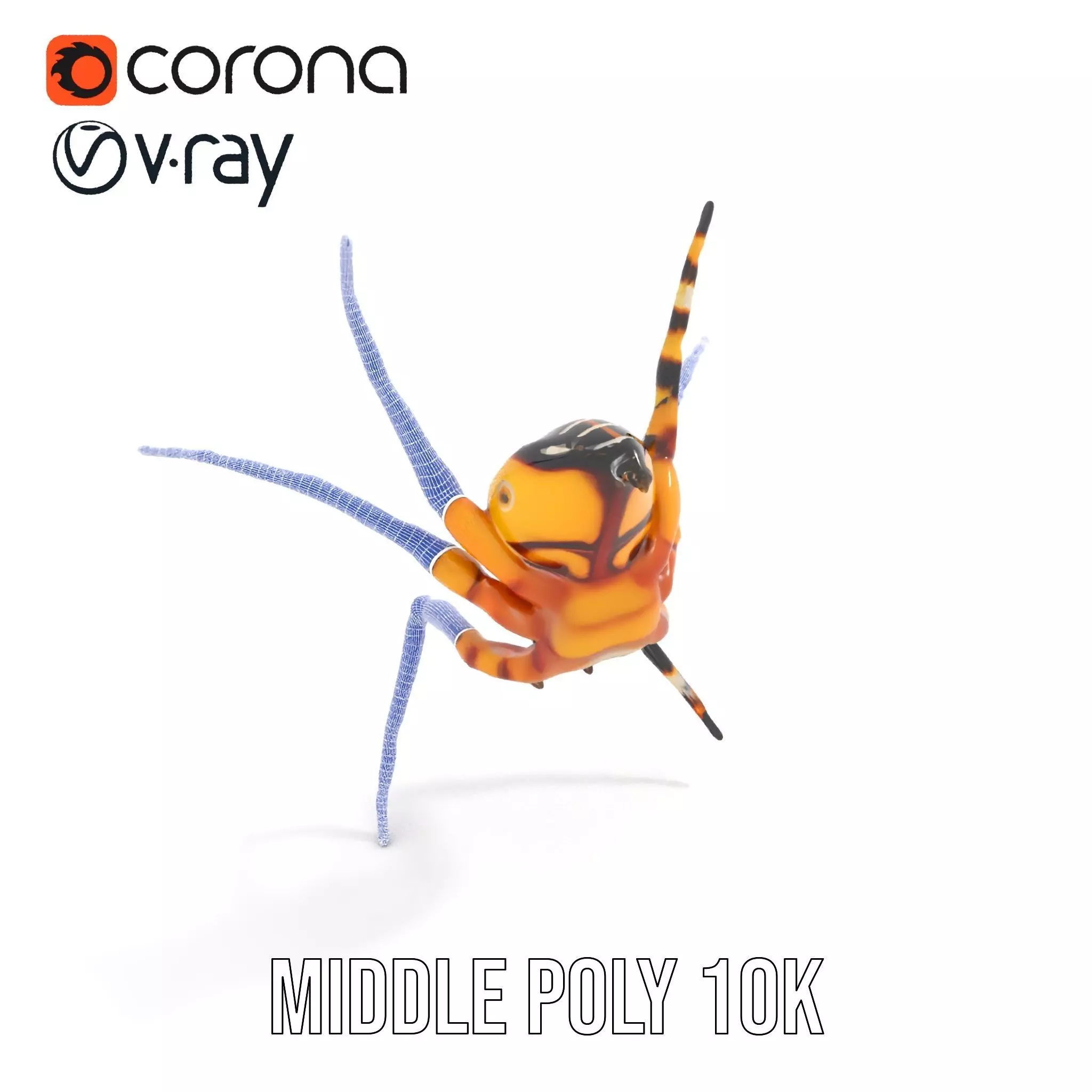 Vibrant Spider model pack Low-poly 3D model_22