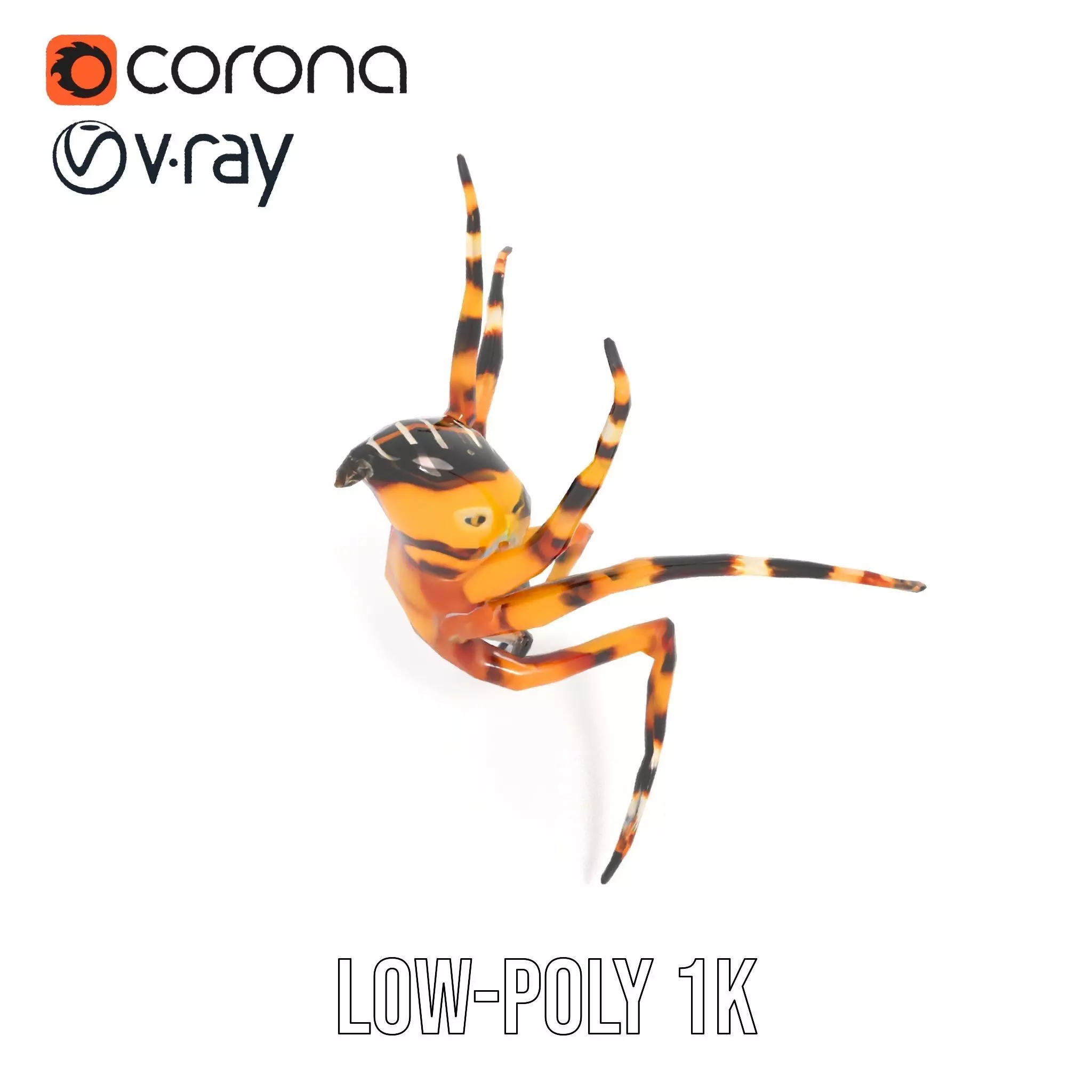 Vibrant Spider model pack Low-poly 3D model_15