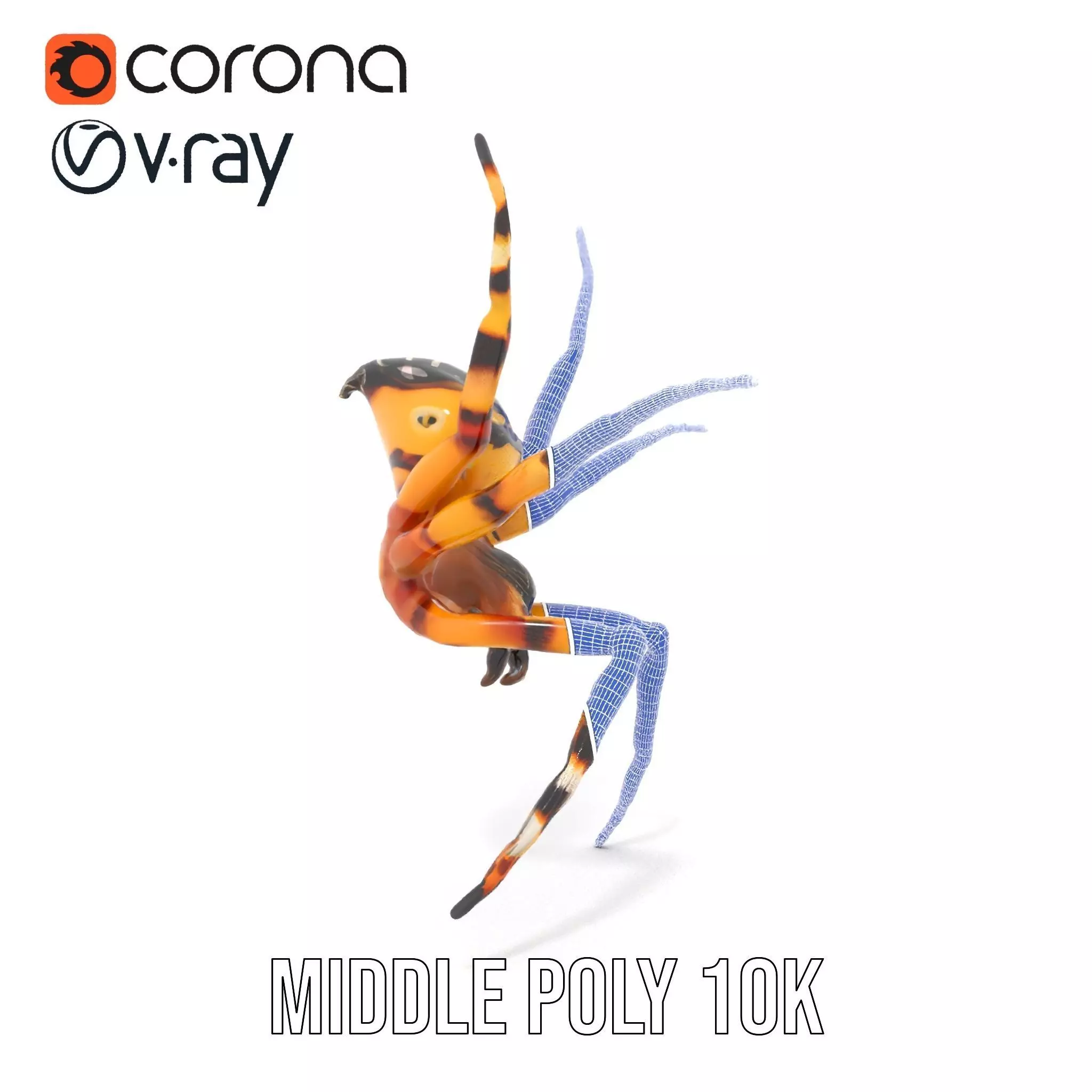 Vibrant Spider model pack Low-poly 3D model_19