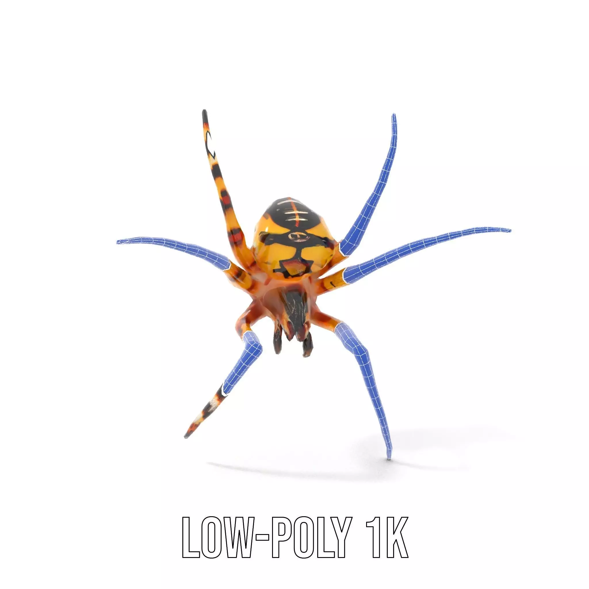 Vibrant Spider model pack Low-poly 3D model_17