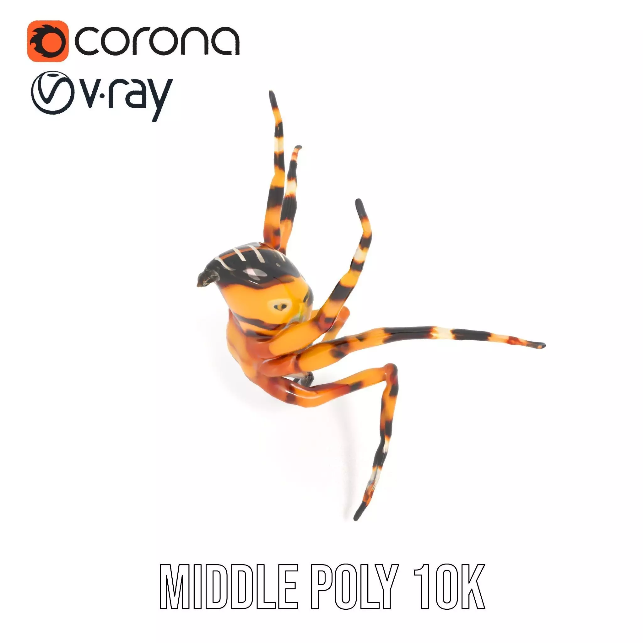 Vibrant Spider model pack Low-poly 3D model_16