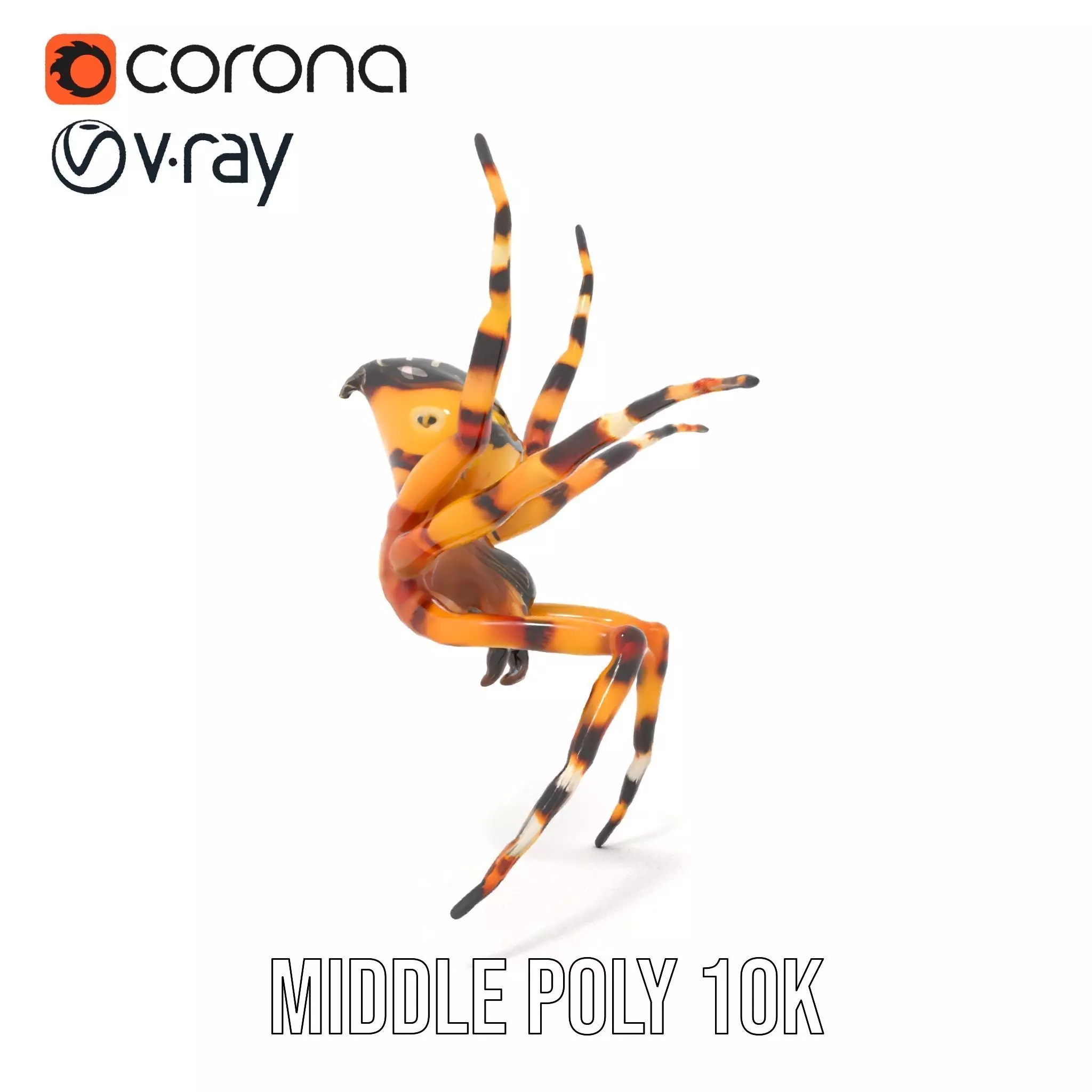 Vibrant Spider model pack Low-poly 3D model_6