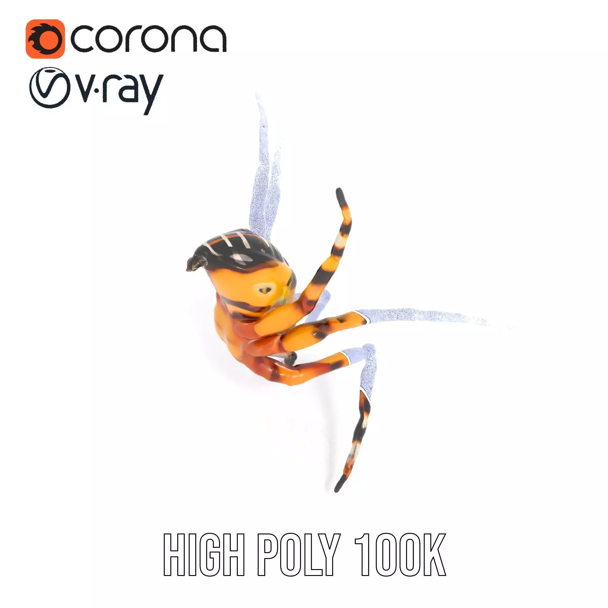 Vibrant Spider model pack Low-poly 3D model_34