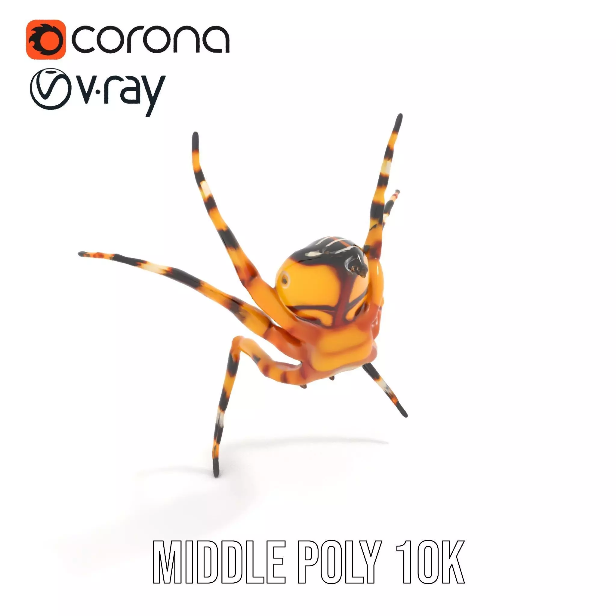 Vibrant Spider model pack Low-poly 3D model_14