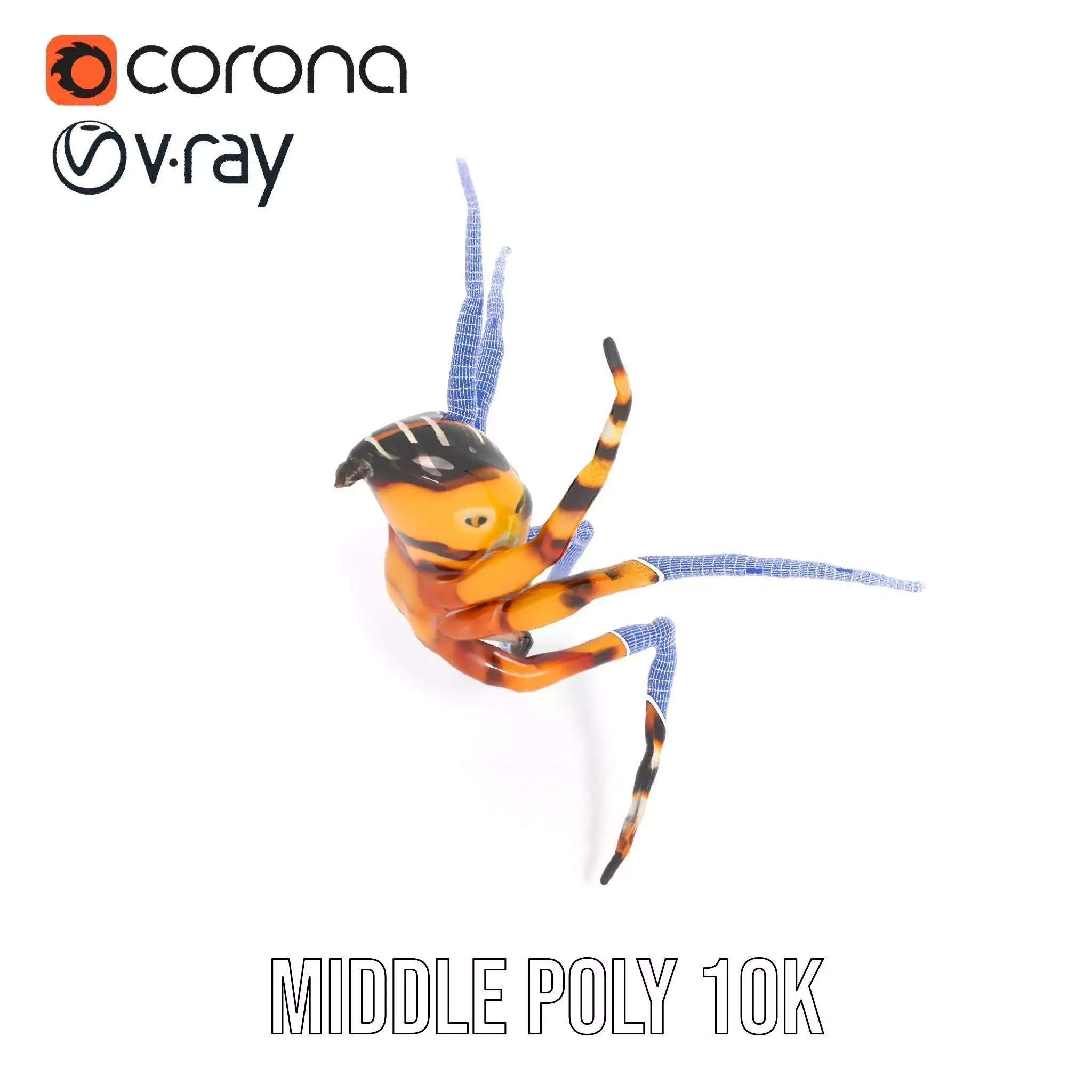 Vibrant Spider model pack Low-poly 3D model_25
