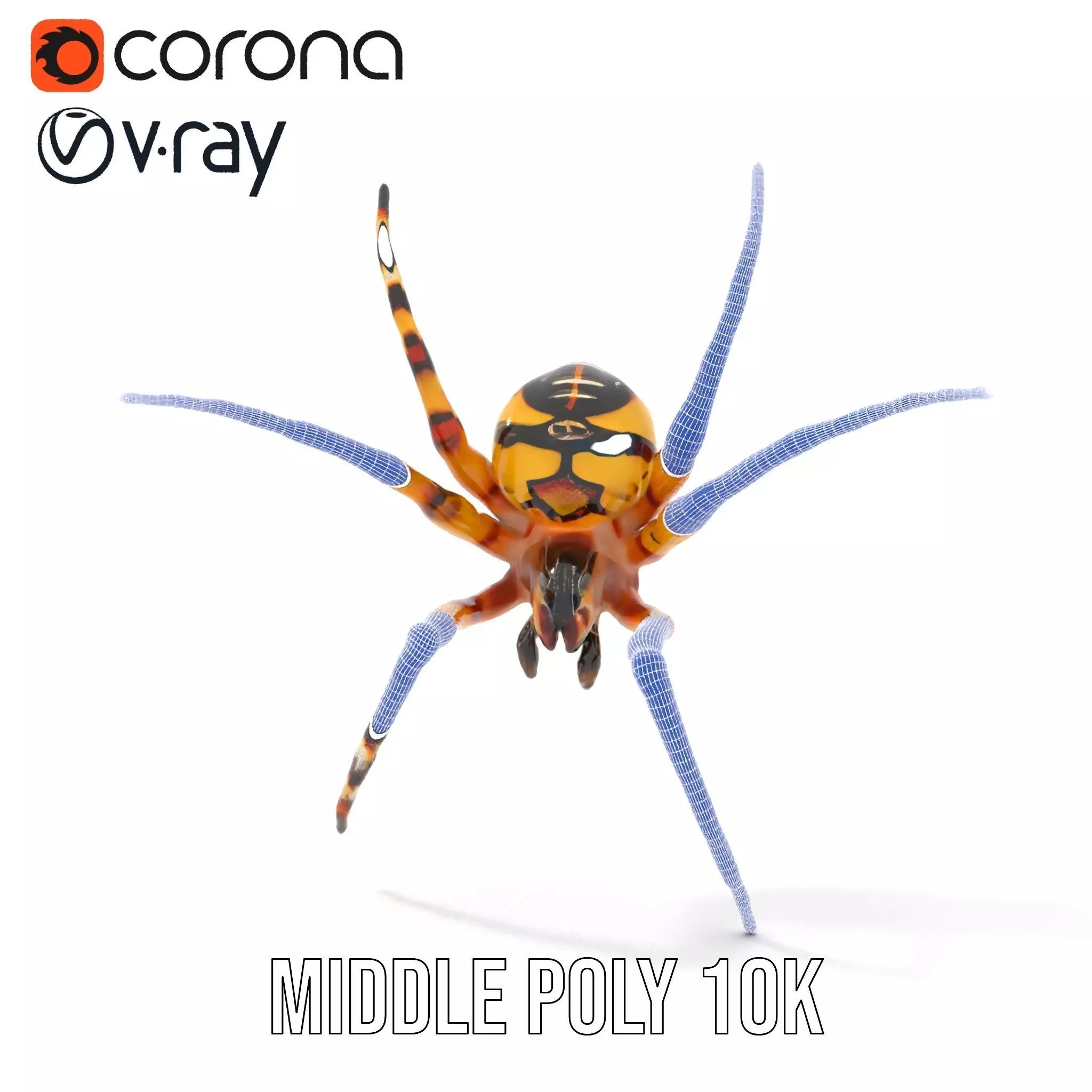 Vibrant Spider model pack Low-poly 3D model_31
