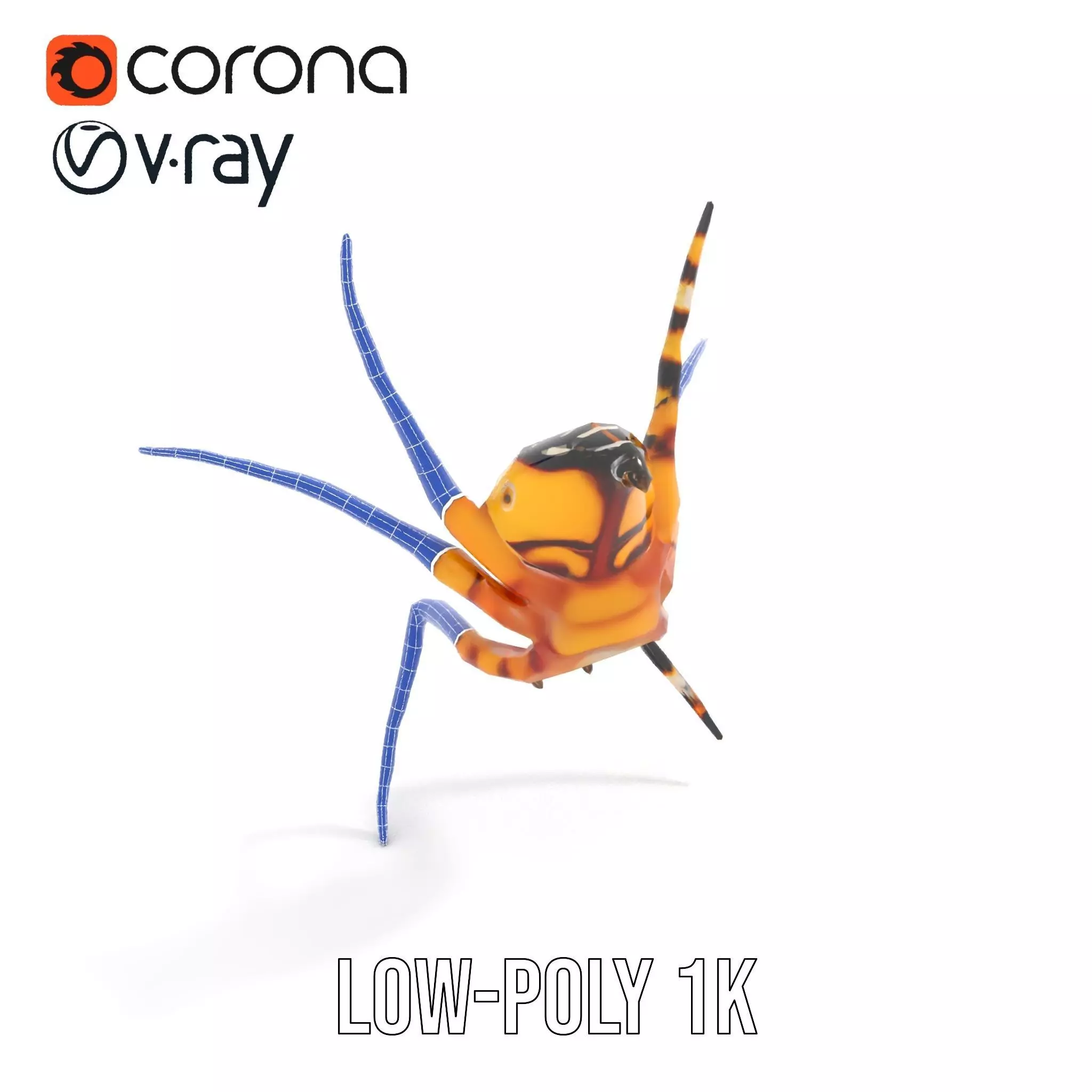 Vibrant Spider model pack Low-poly 3D model_26