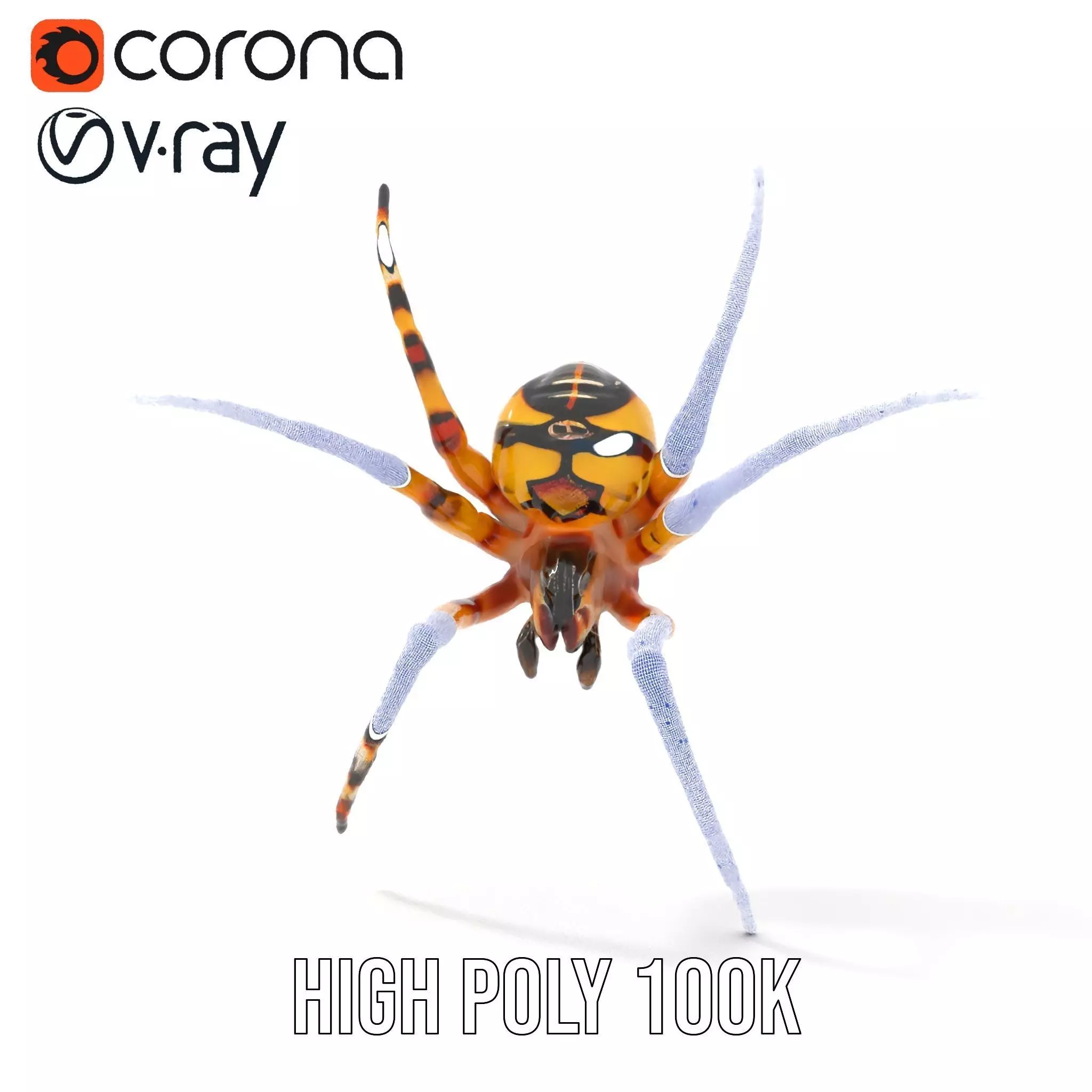 Vibrant Spider model pack Low-poly 3D model_30