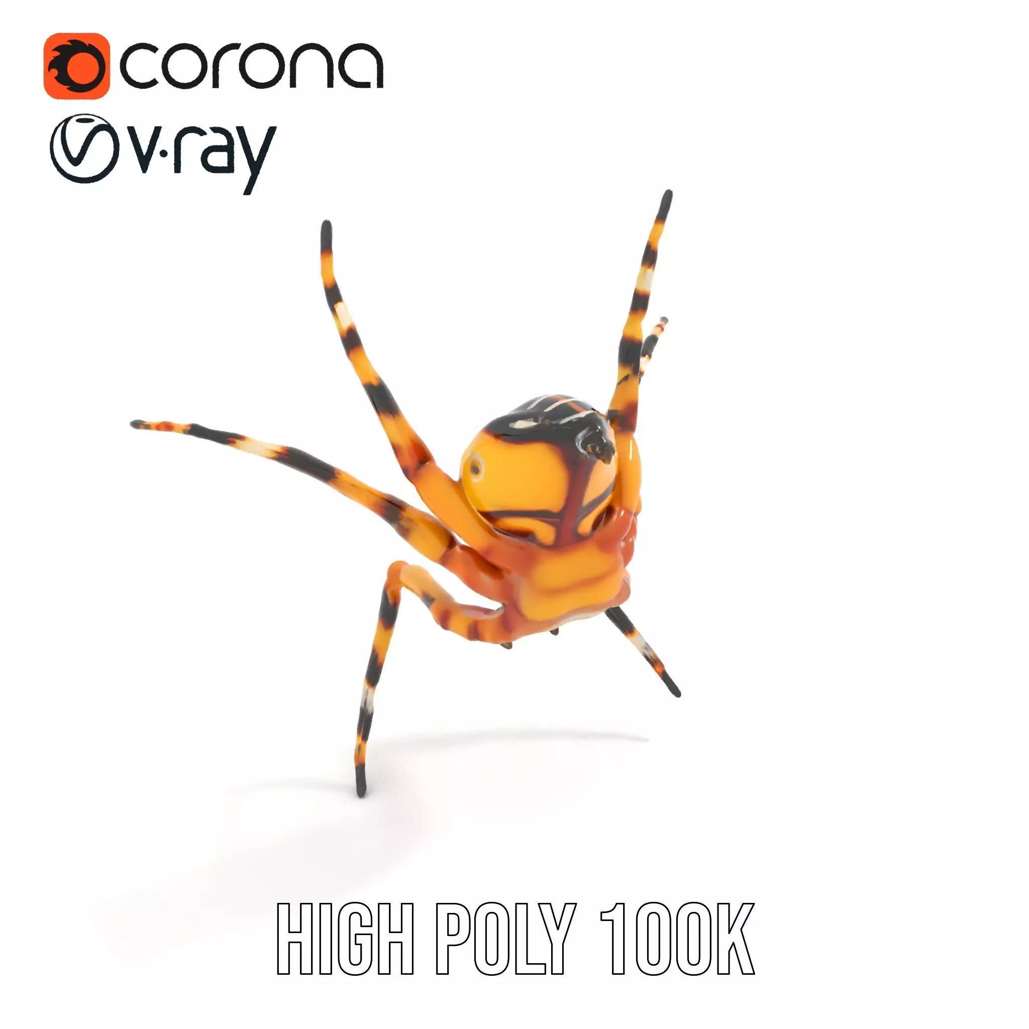 Vibrant Spider model pack Low-poly 3D model_18
