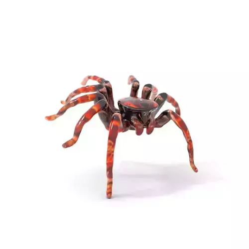Vibrant Spider model pack