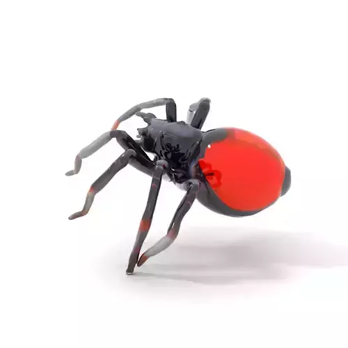 Red Back Spider model pack Low-poly 3D model