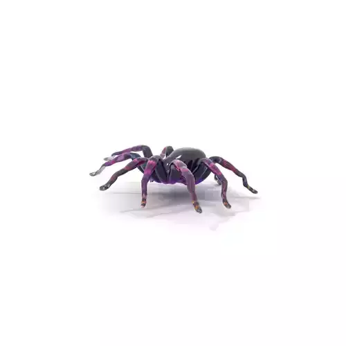 Vibrant Tarantula model pack