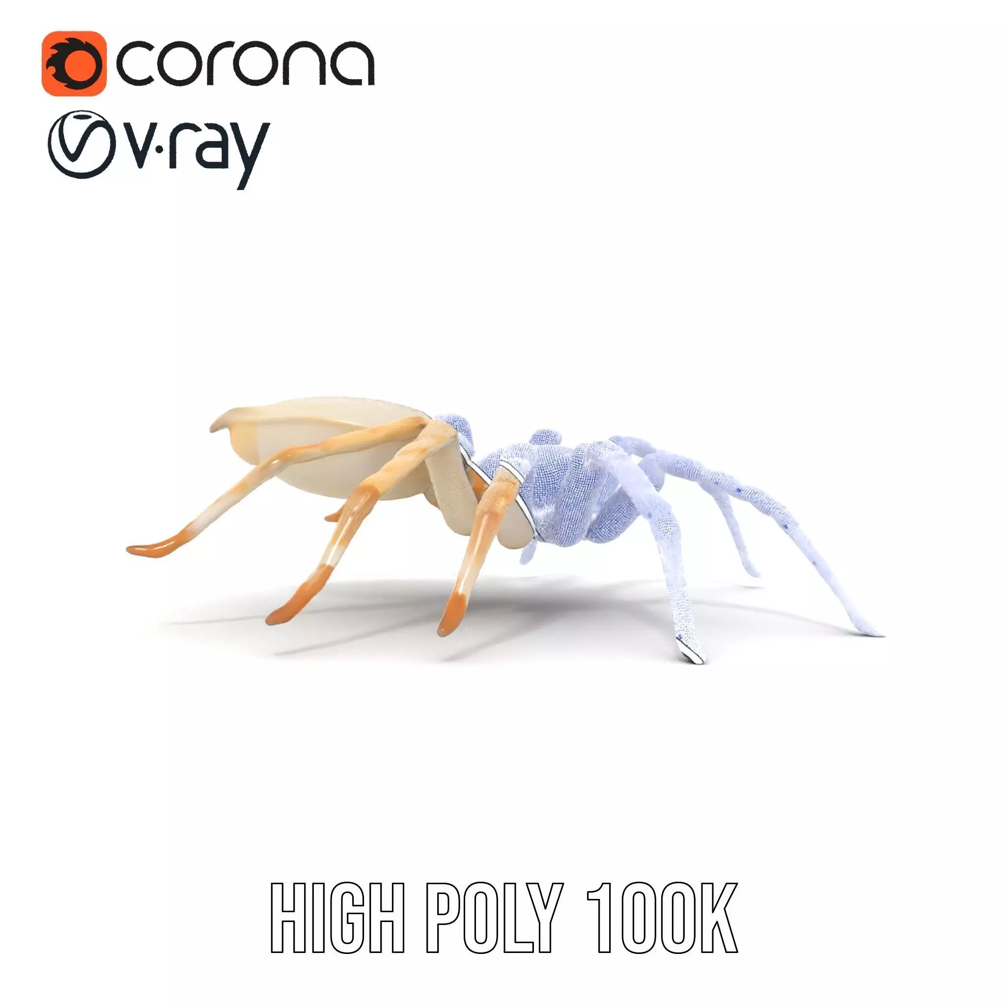 White Spider Arachnid model pack Low-poly 3D model_34