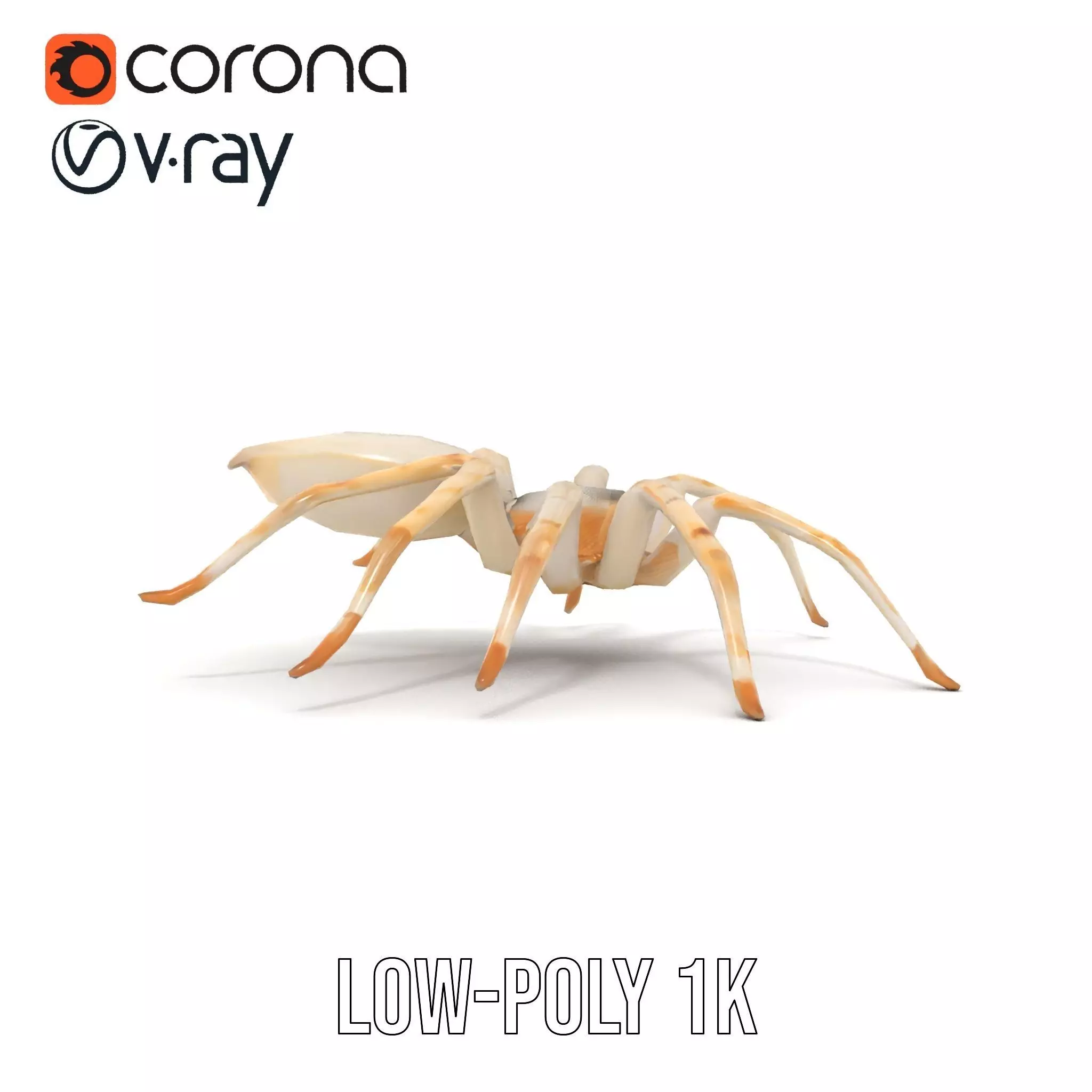 White Spider Arachnid model pack Low-poly 3D model_28