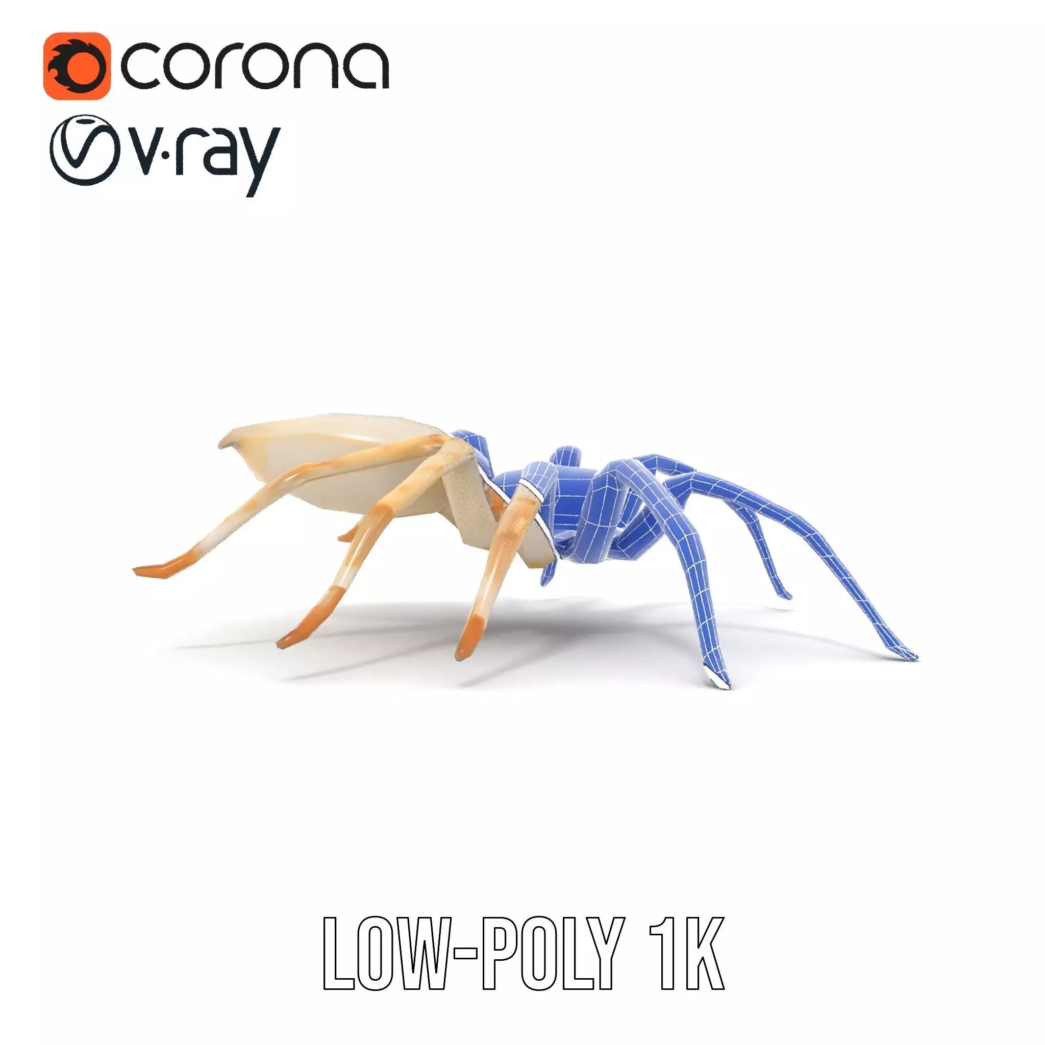 White Spider Arachnid model pack Low-poly 3D model_31