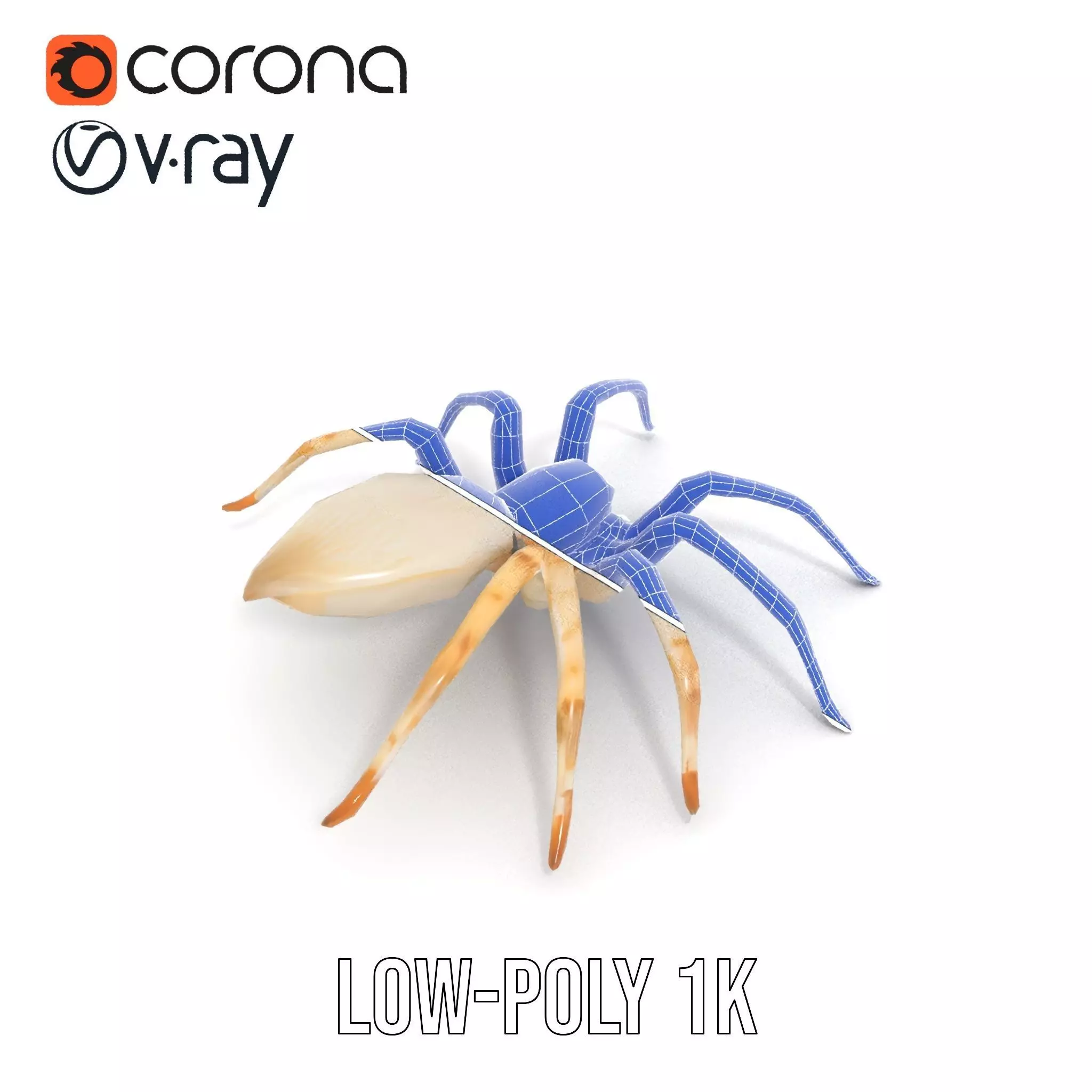 White Spider Arachnid model pack Low-poly 3D model_10