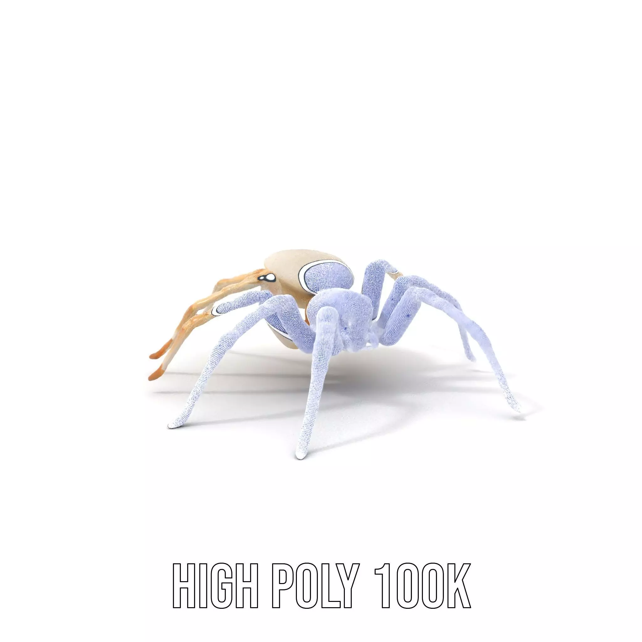 White Spider Arachnid model pack Low-poly 3D model_5