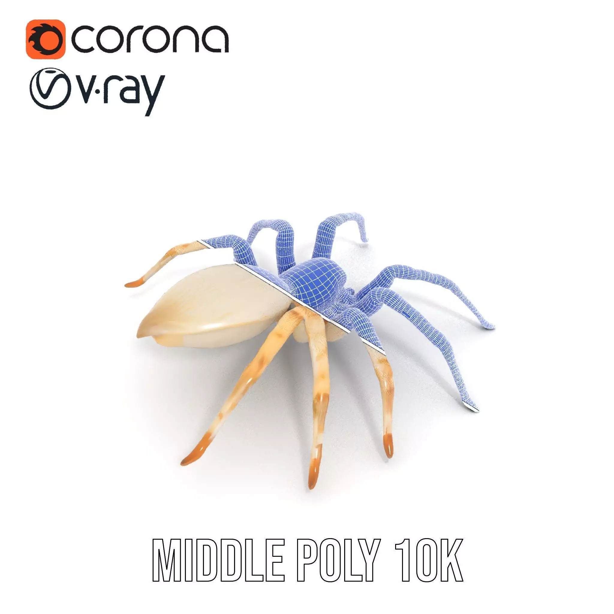 White Spider Arachnid model pack Low-poly 3D model_30