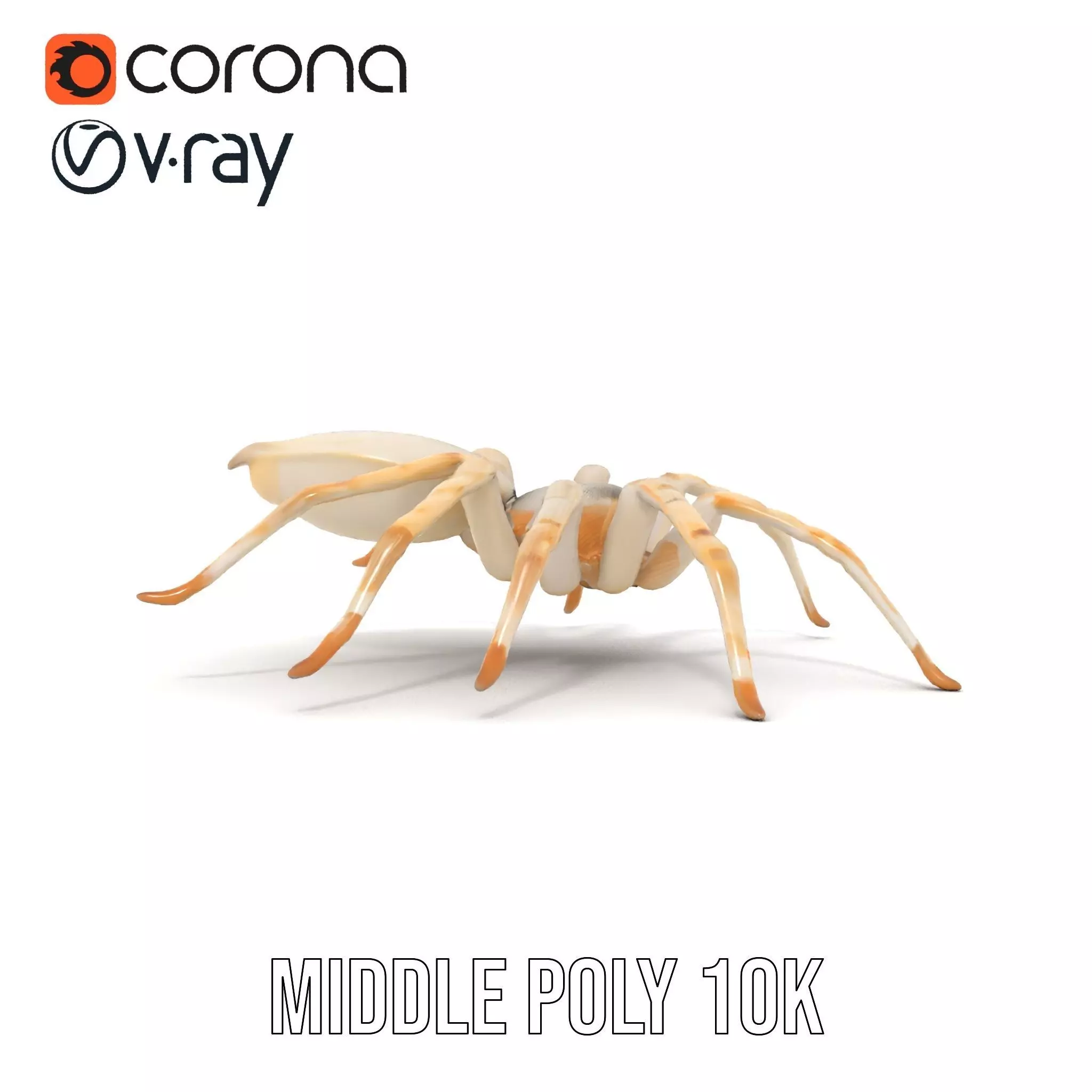 White Spider Arachnid model pack Low-poly 3D model_20