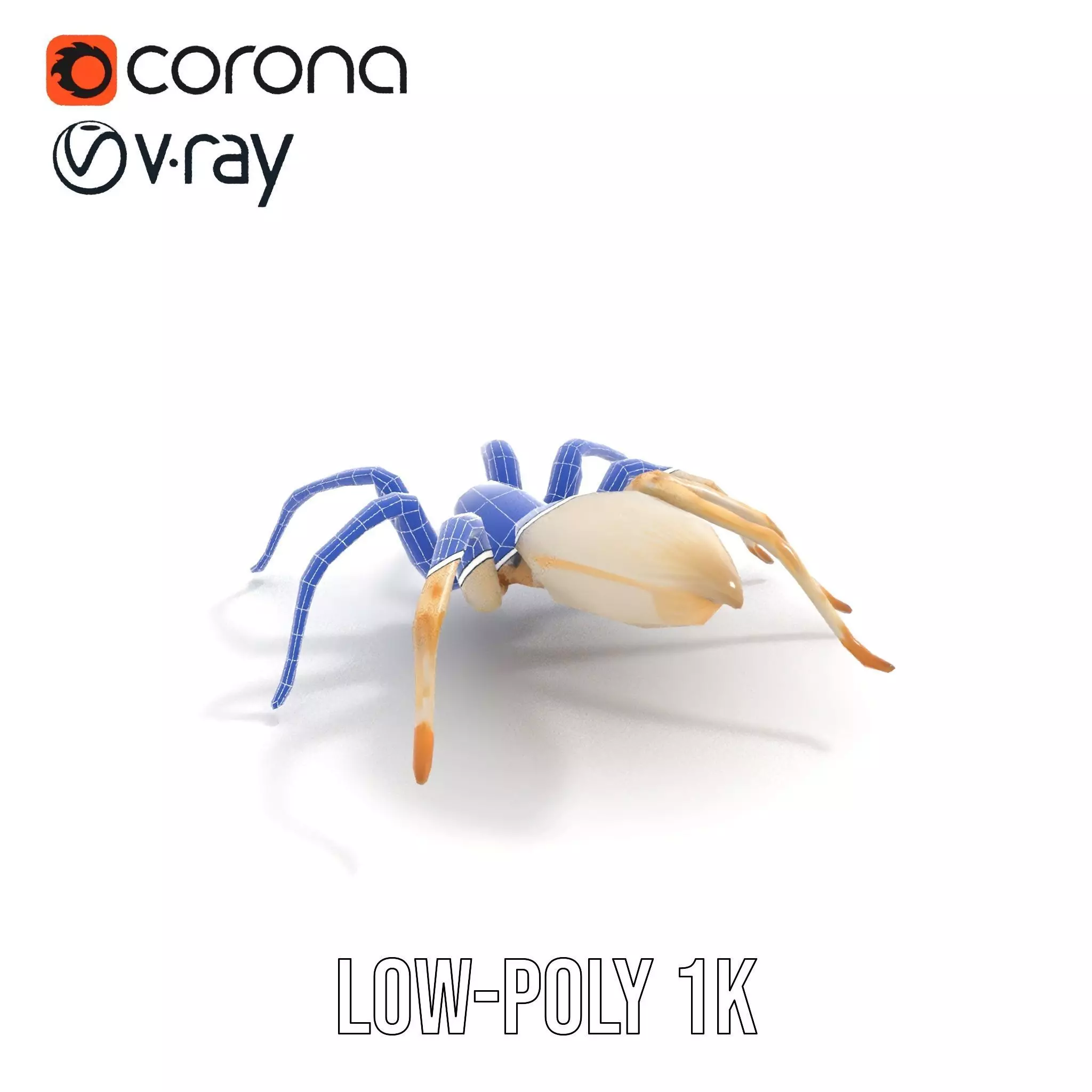 White Spider Arachnid model pack Low-poly 3D model_23