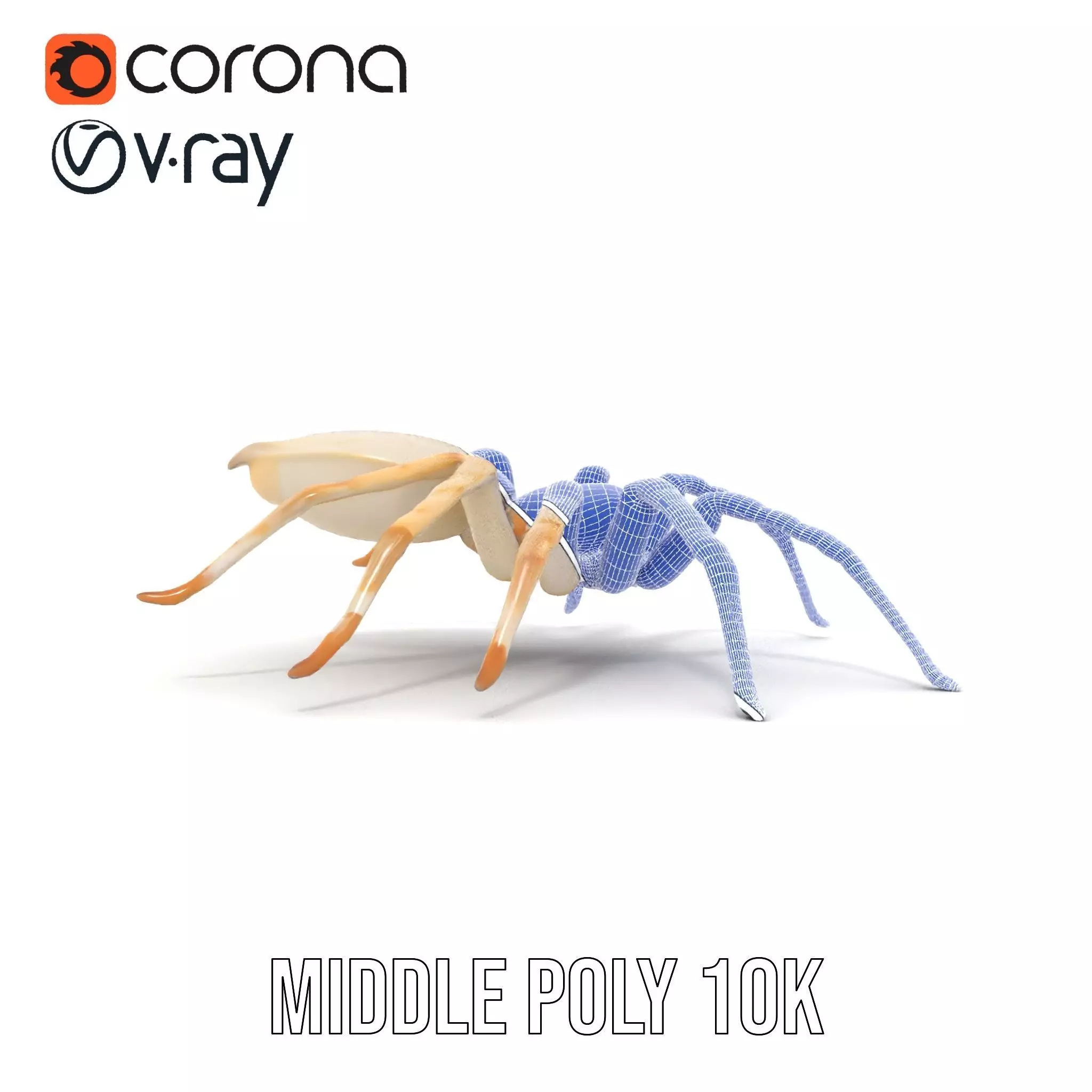 White Spider Arachnid model pack Low-poly 3D model_14
