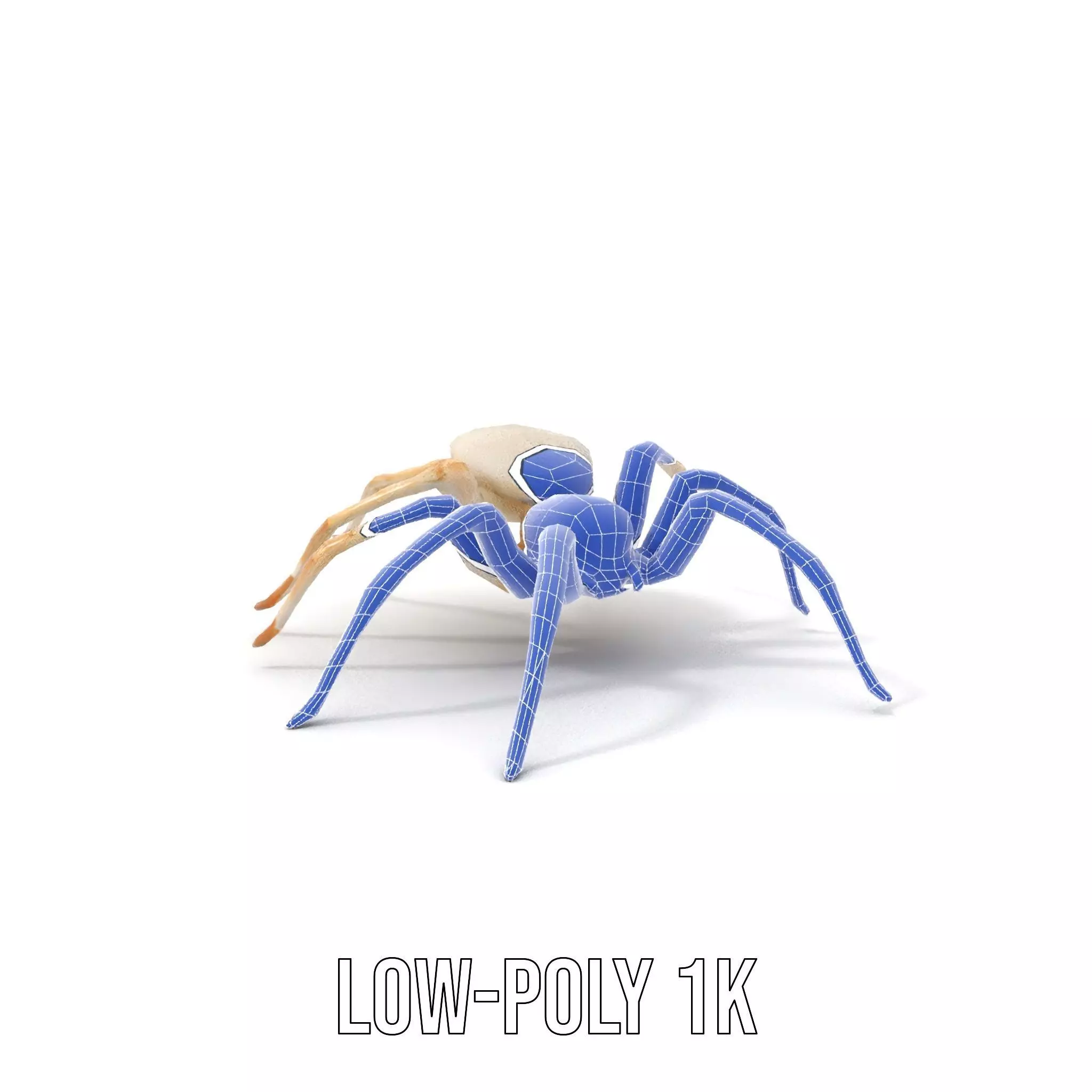 White Spider Arachnid model pack Low-poly 3D model_15