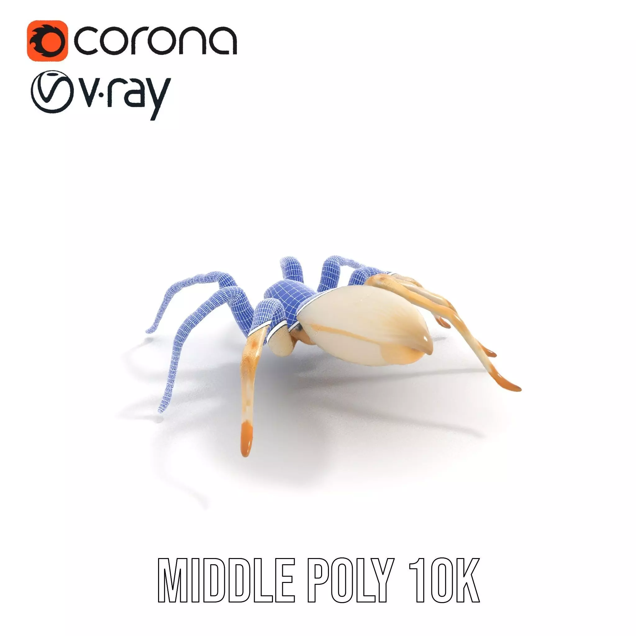 White Spider Arachnid model pack Low-poly 3D model_22