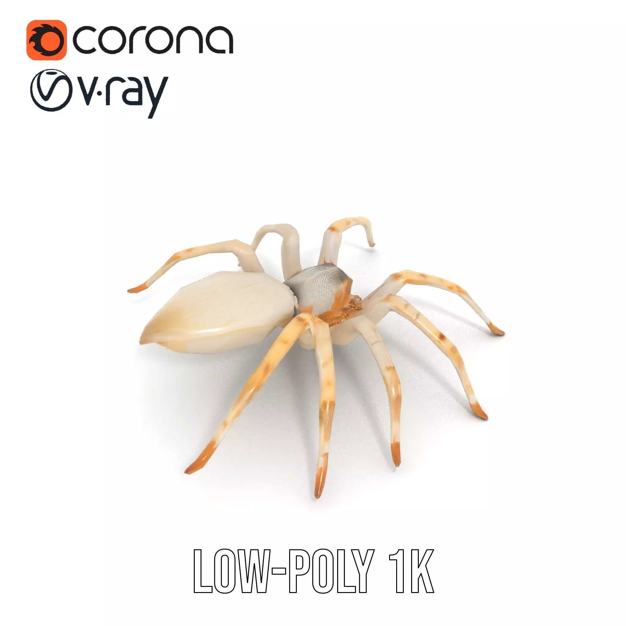 White Spider Arachnid model pack Low-poly 3D model_21