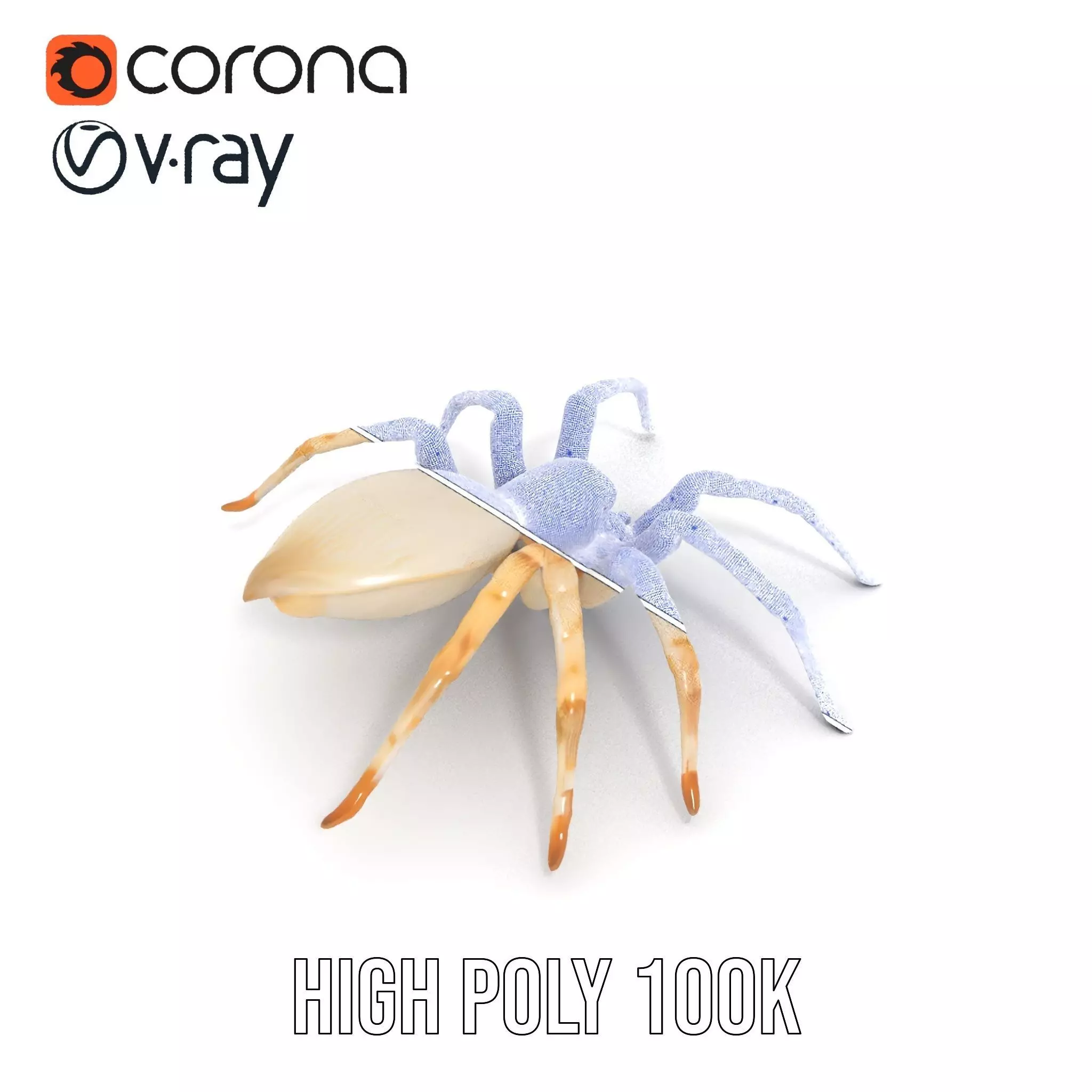 White Spider Arachnid model pack Low-poly 3D model_33