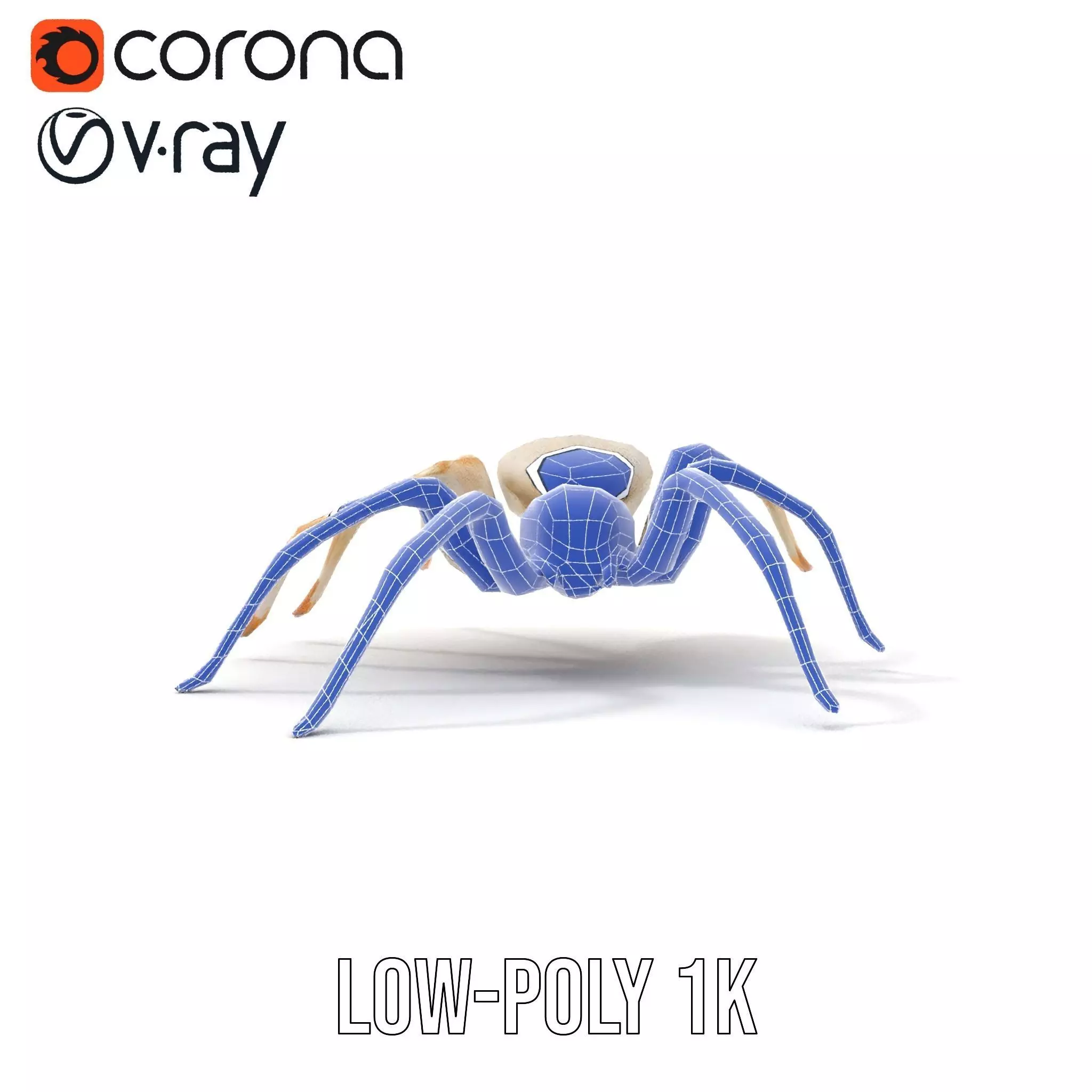 White Spider Arachnid model pack Low-poly 3D model_26