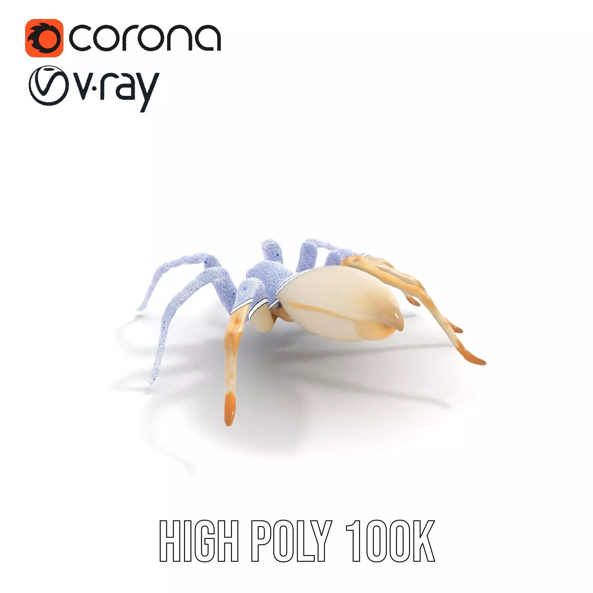 White Spider Arachnid model pack Low-poly 3D model_32