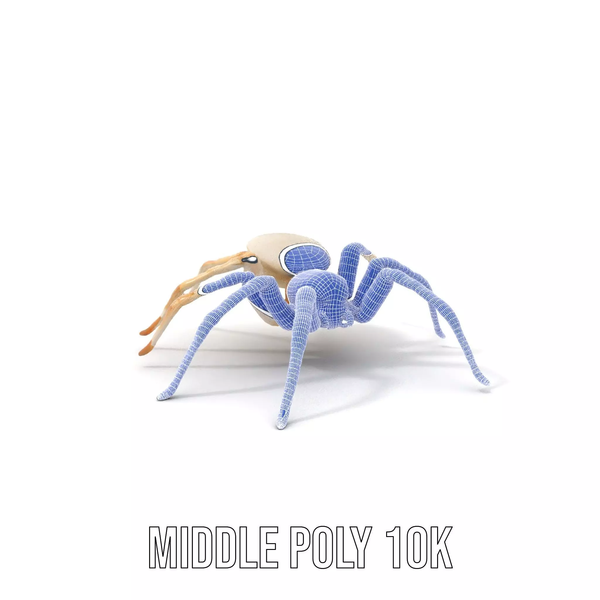 White Spider Arachnid model pack Low-poly 3D model_27