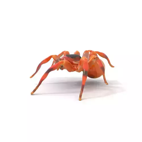 Golden Arachnid model pack Low-poly 3D model