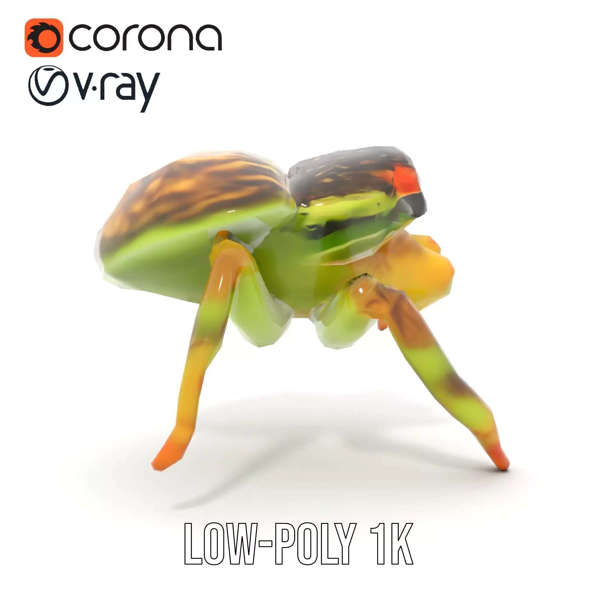Vibrant Jumping Spider model pack Low-poly 3D model_13