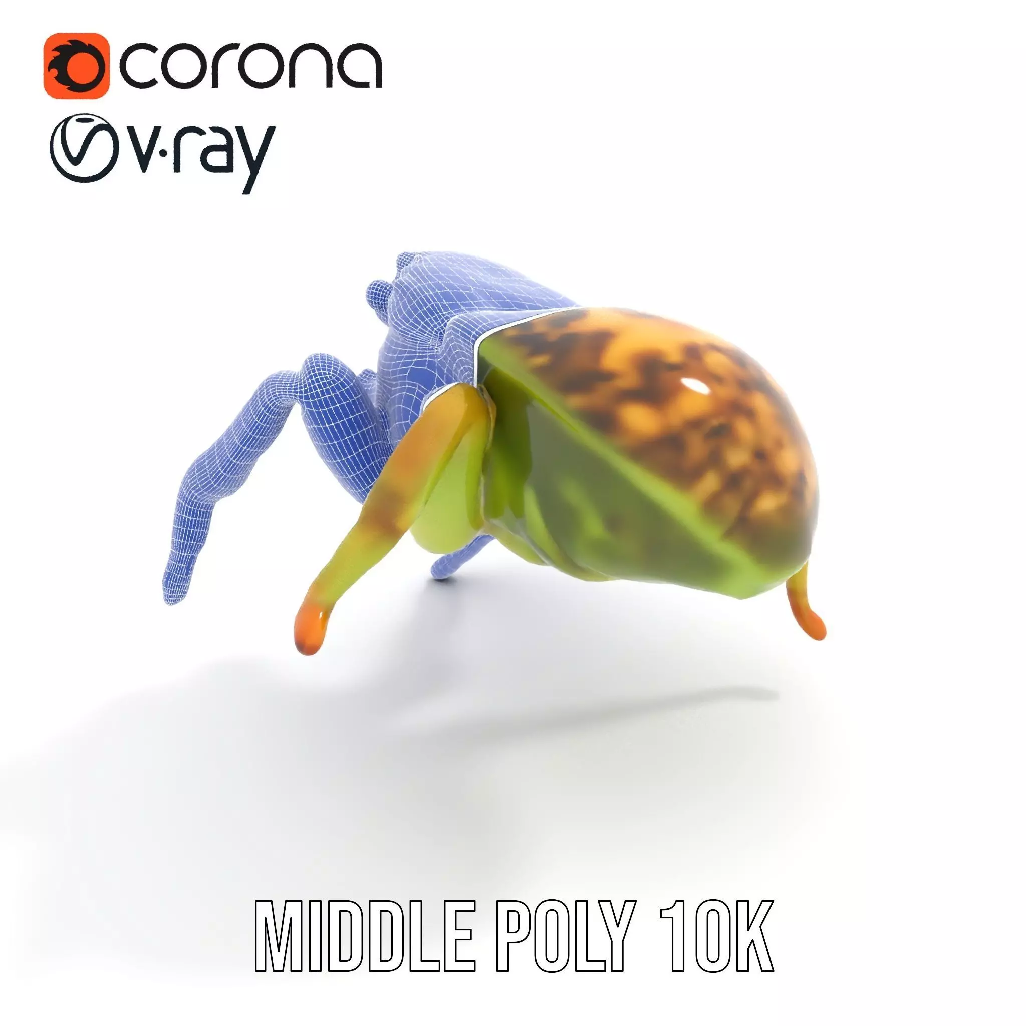 Vibrant Jumping Spider model pack Low-poly 3D model_17