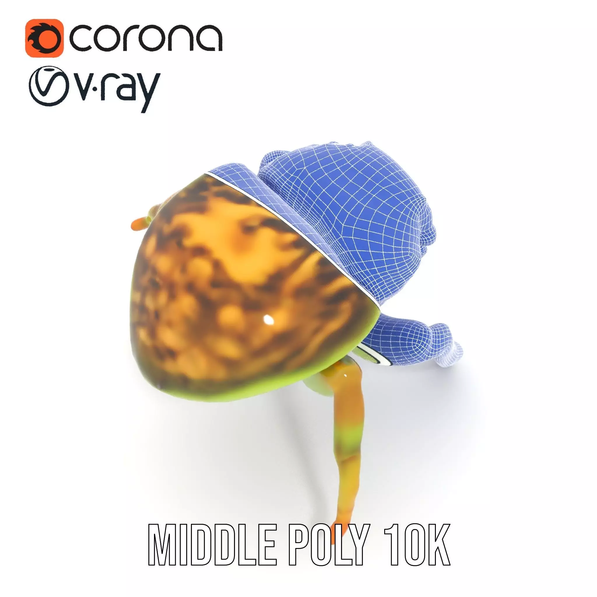 Vibrant Jumping Spider model pack Low-poly 3D model_30