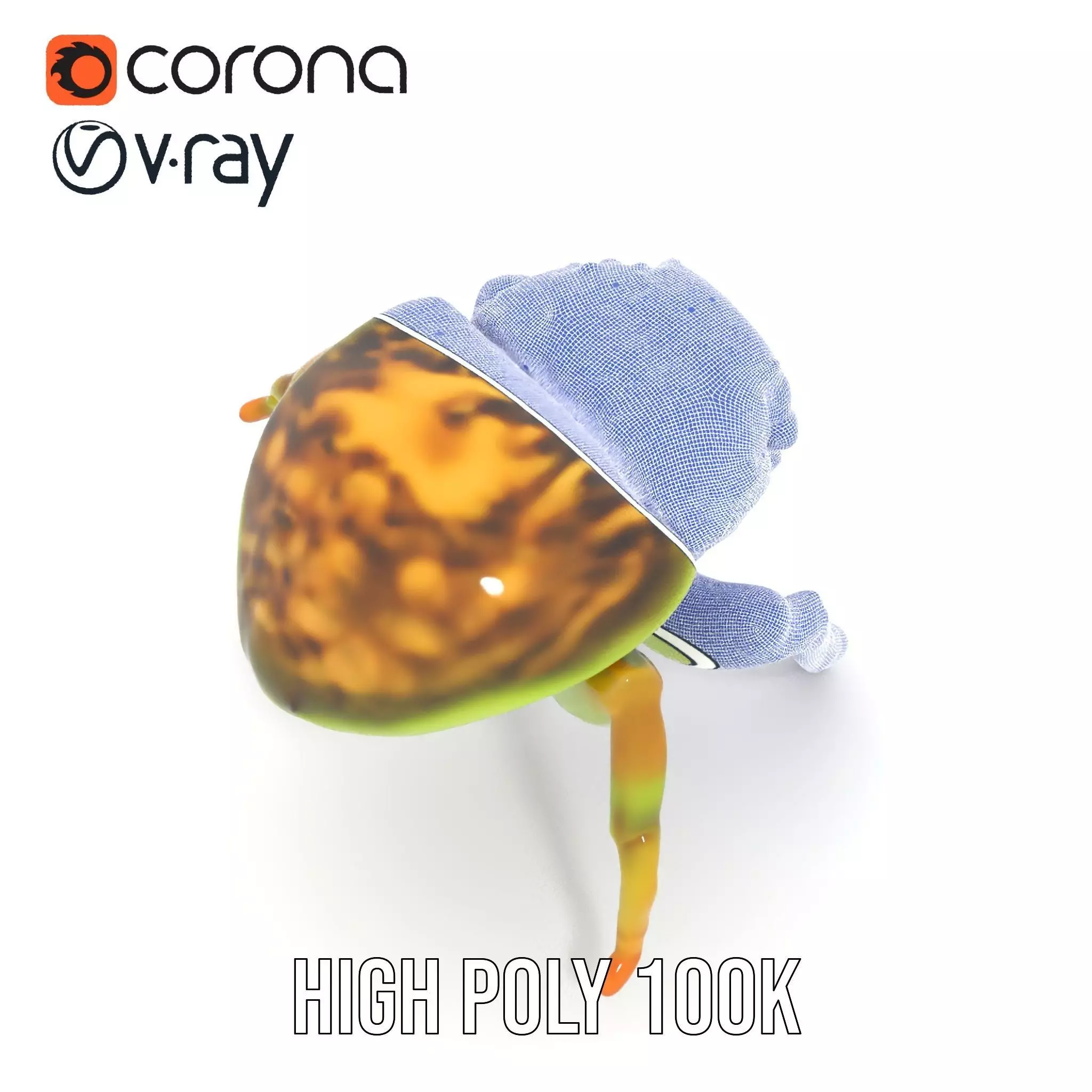 Vibrant Jumping Spider model pack Low-poly 3D model_34