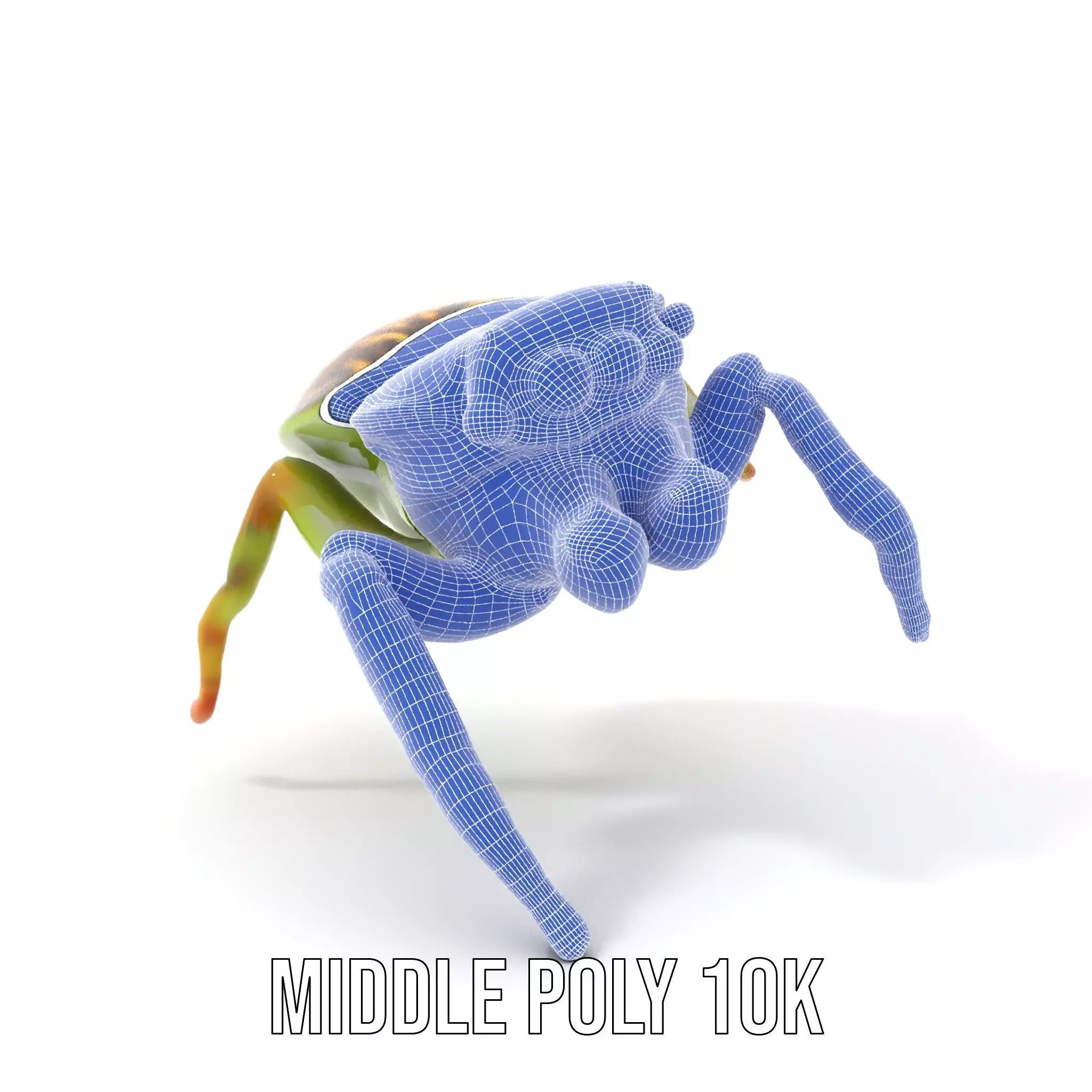 Vibrant Jumping Spider model pack Low-poly 3D model_14