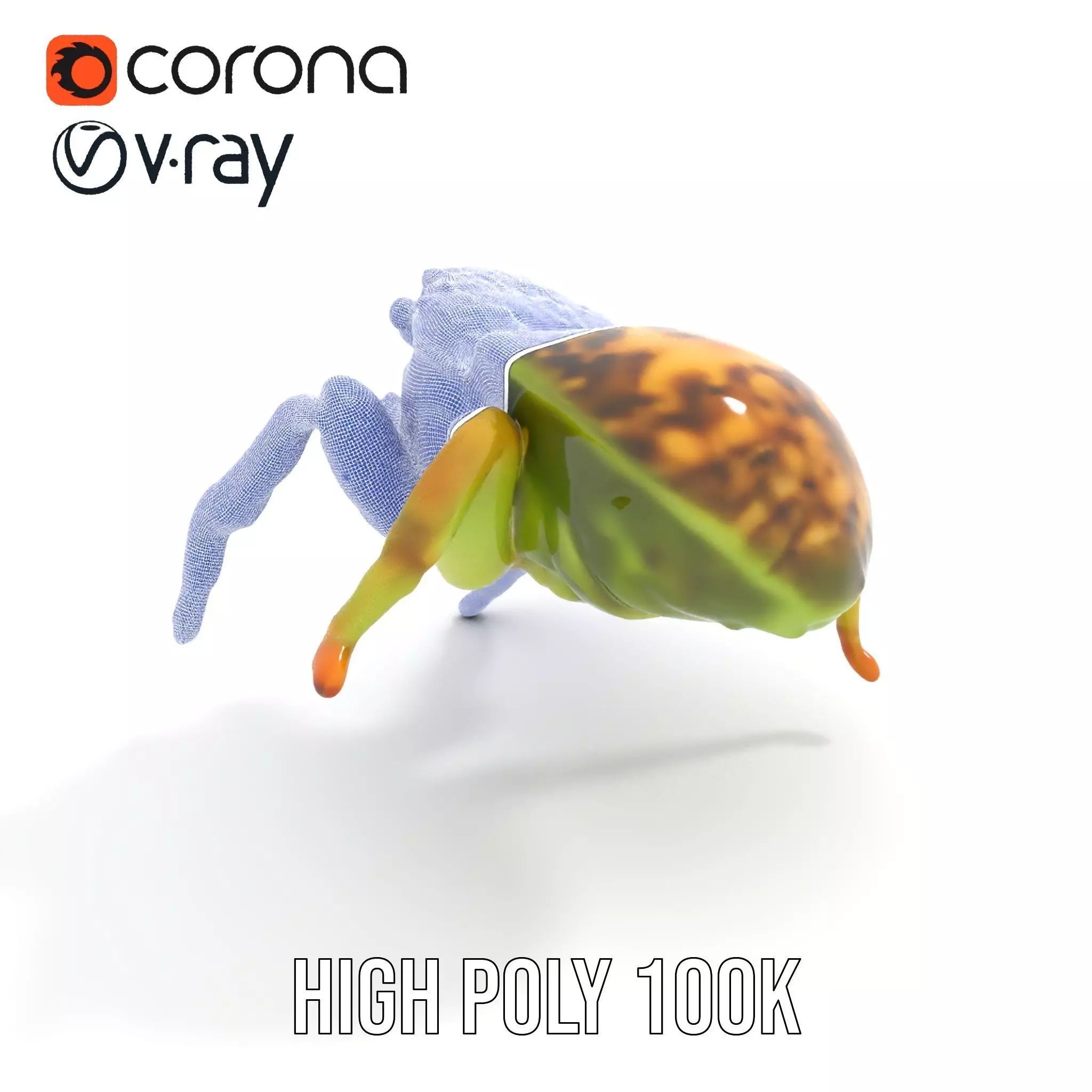 Vibrant Jumping Spider model pack Low-poly 3D model_27