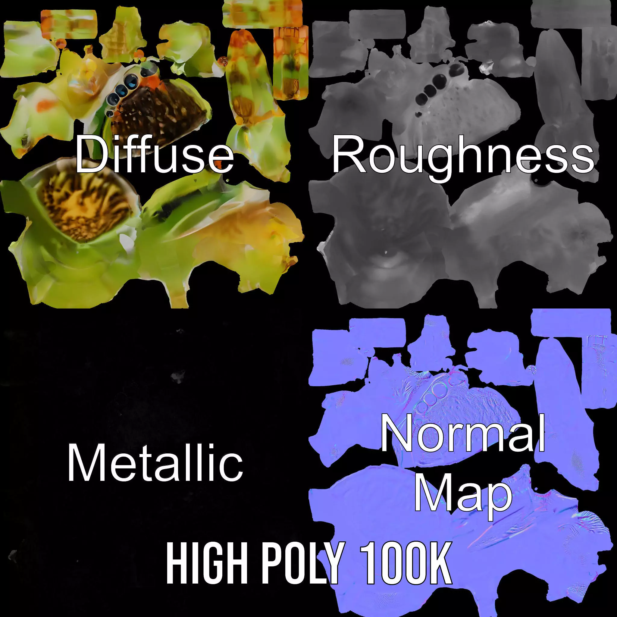 Vibrant Jumping Spider model pack Low-poly 3D model_4