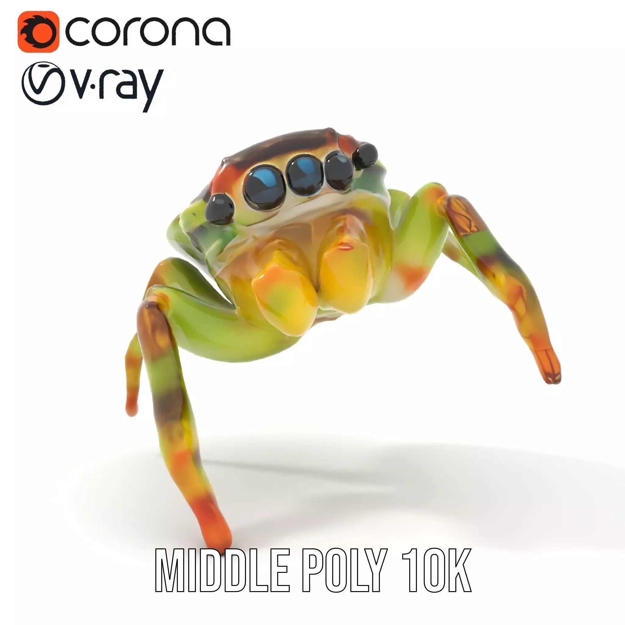 Vibrant Jumping Spider model pack Low-poly 3D model_19