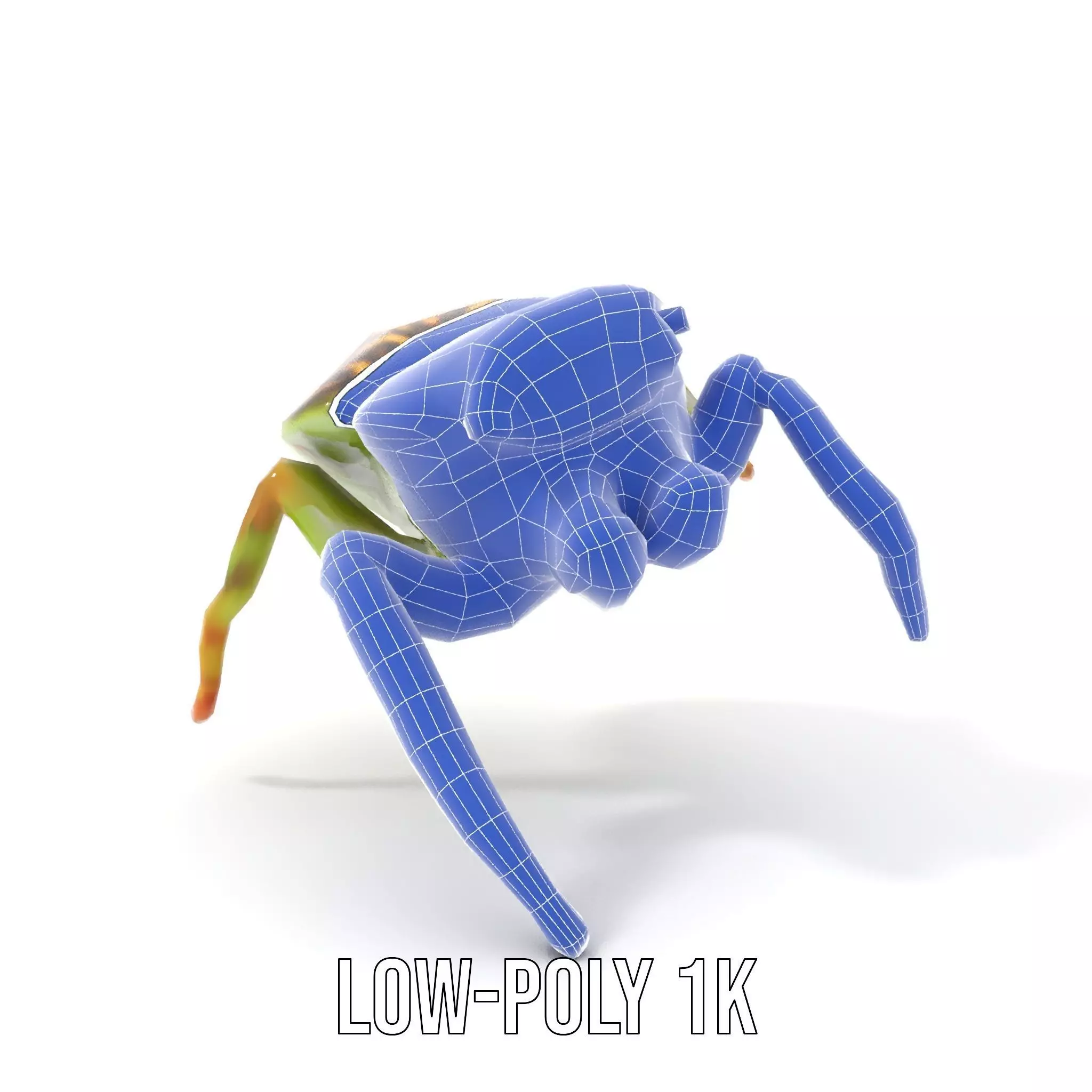 Vibrant Jumping Spider model pack Low-poly 3D model_29