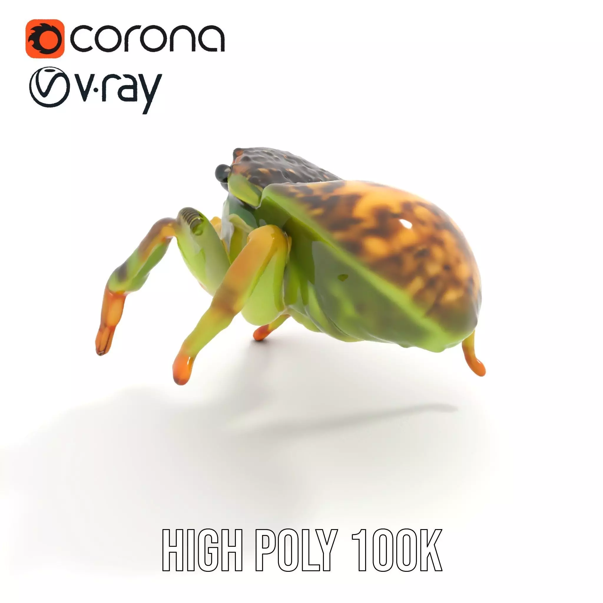 Vibrant Jumping Spider model pack Low-poly 3D model_21