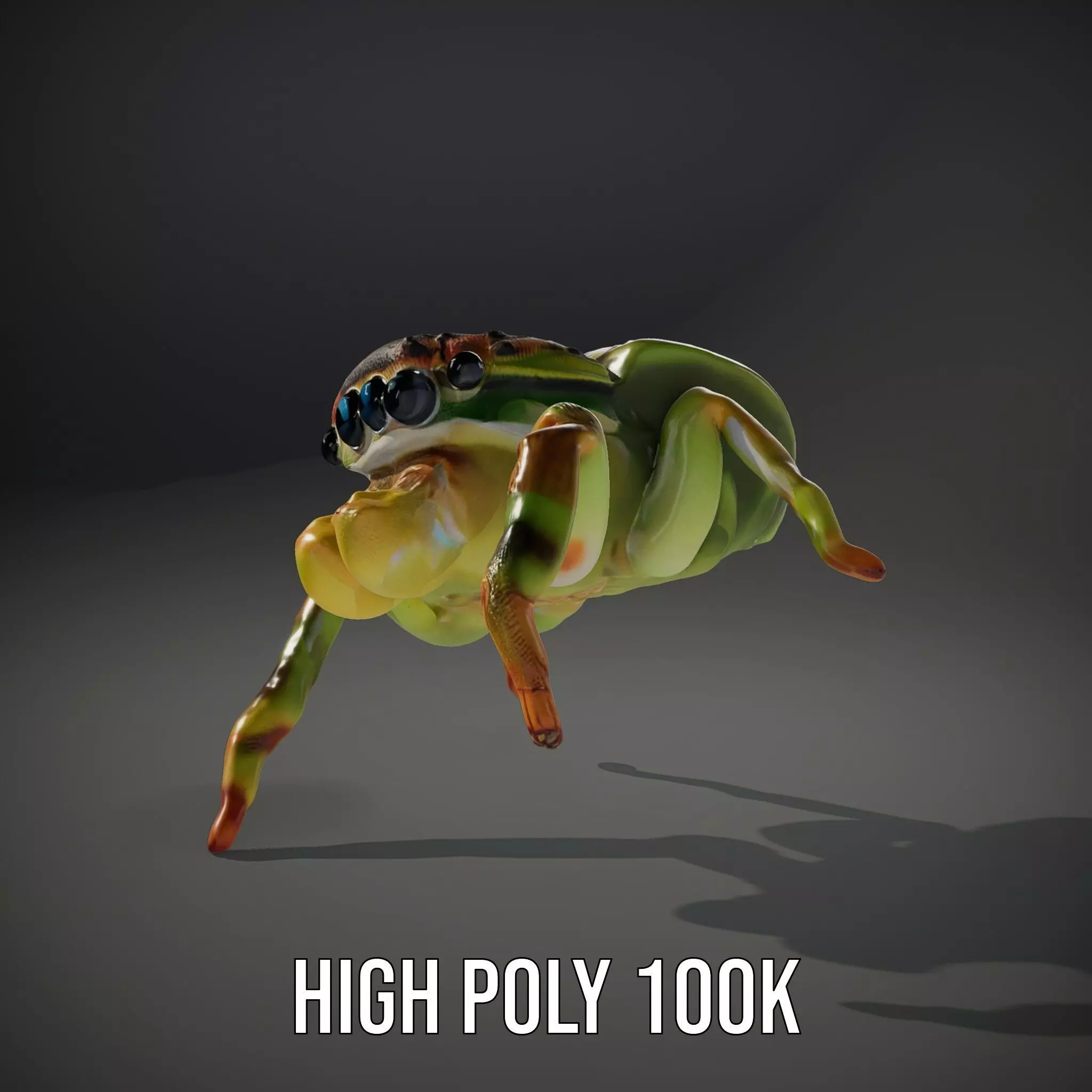 Vibrant Jumping Spider model pack Low-poly 3D model_11