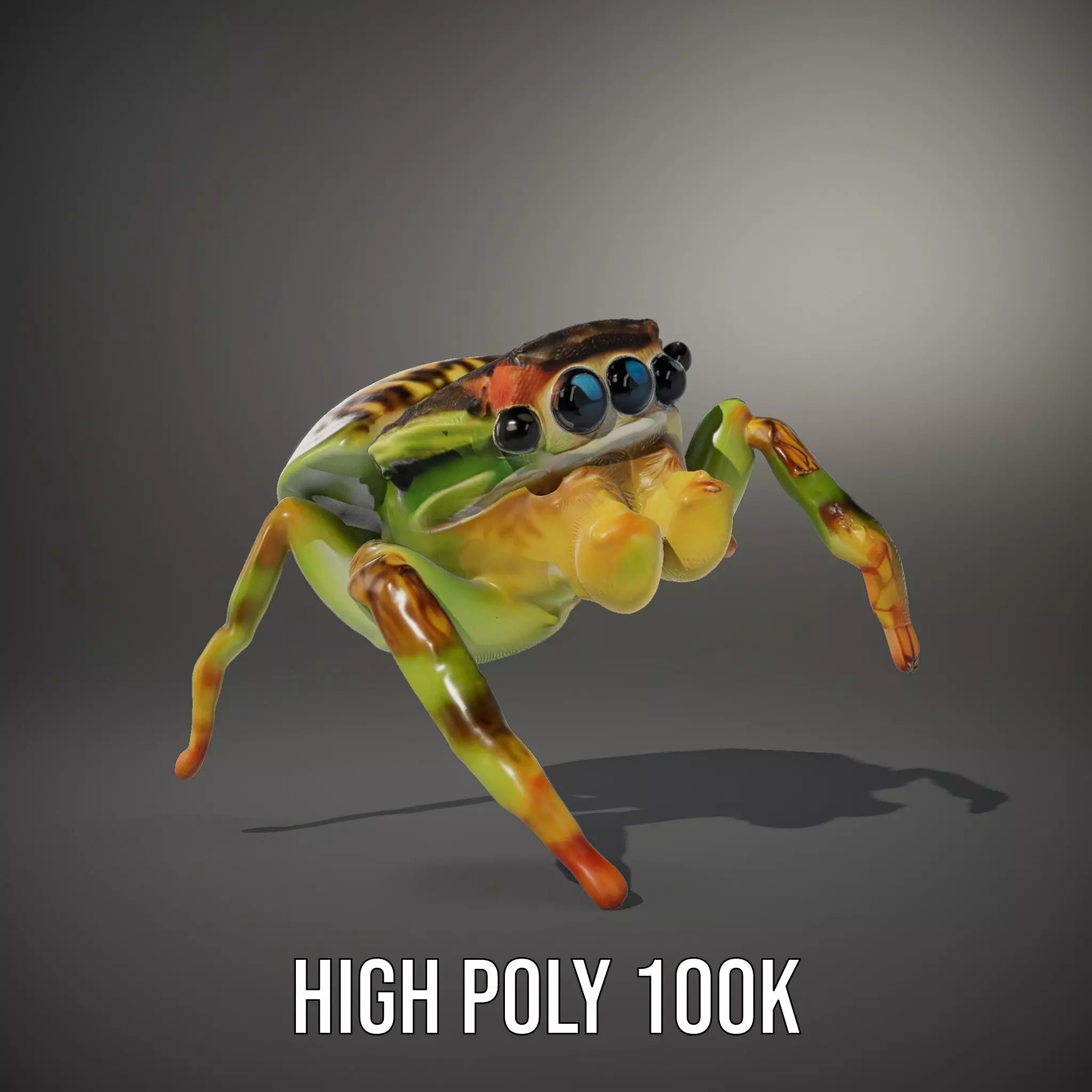 Vibrant Jumping Spider model pack Low-poly 3D model_9