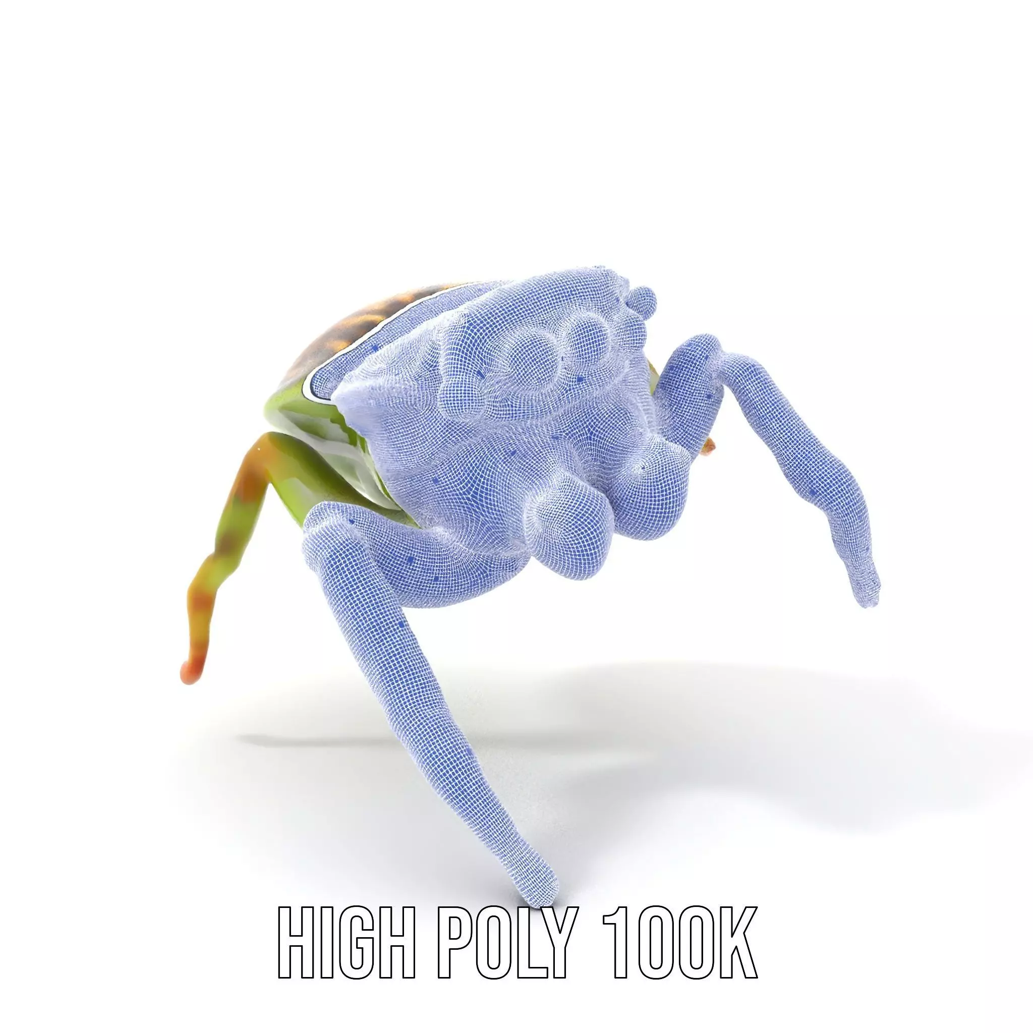 Vibrant Jumping Spider model pack Low-poly 3D model_5